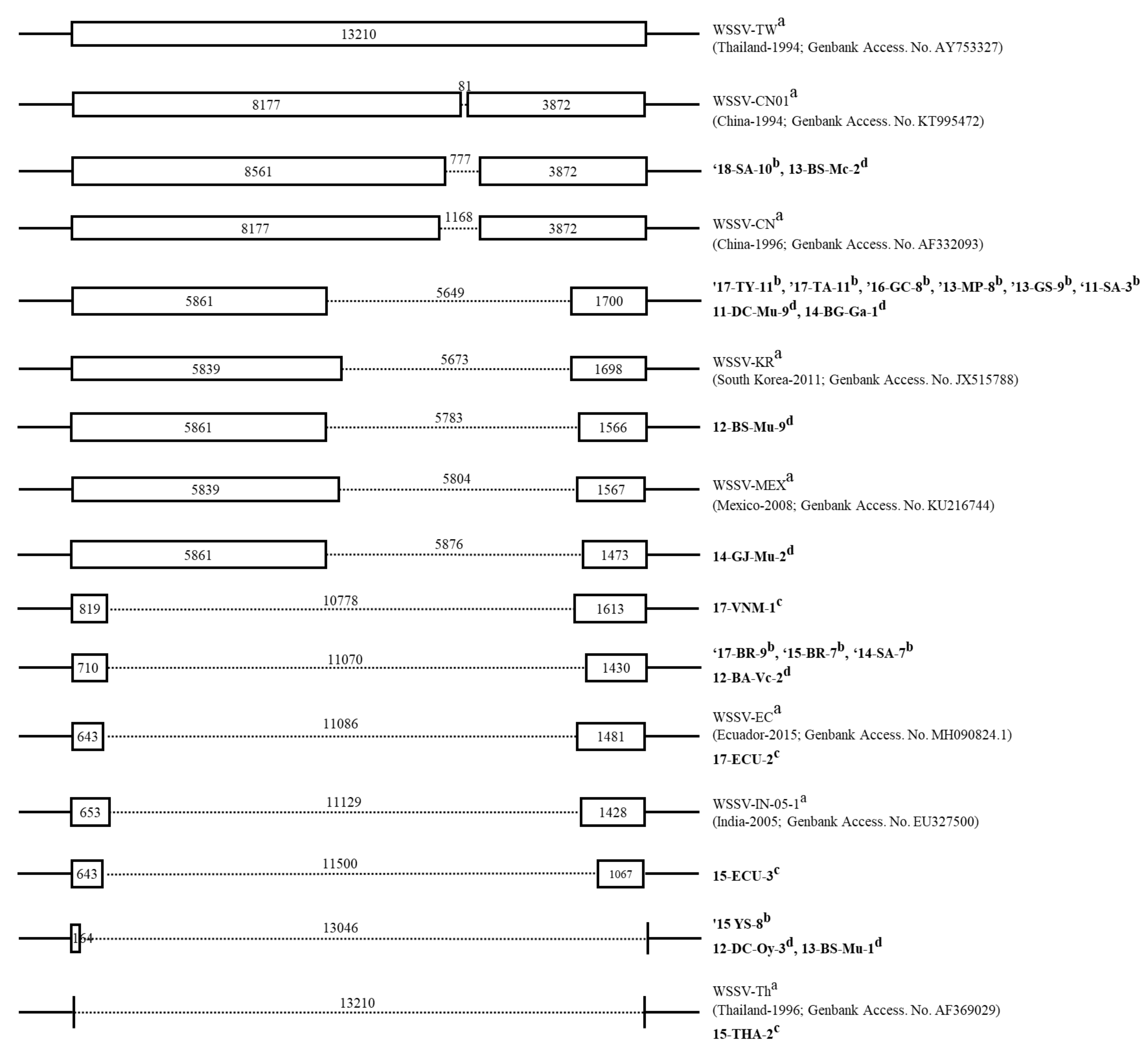 Animals 13 03348 g001