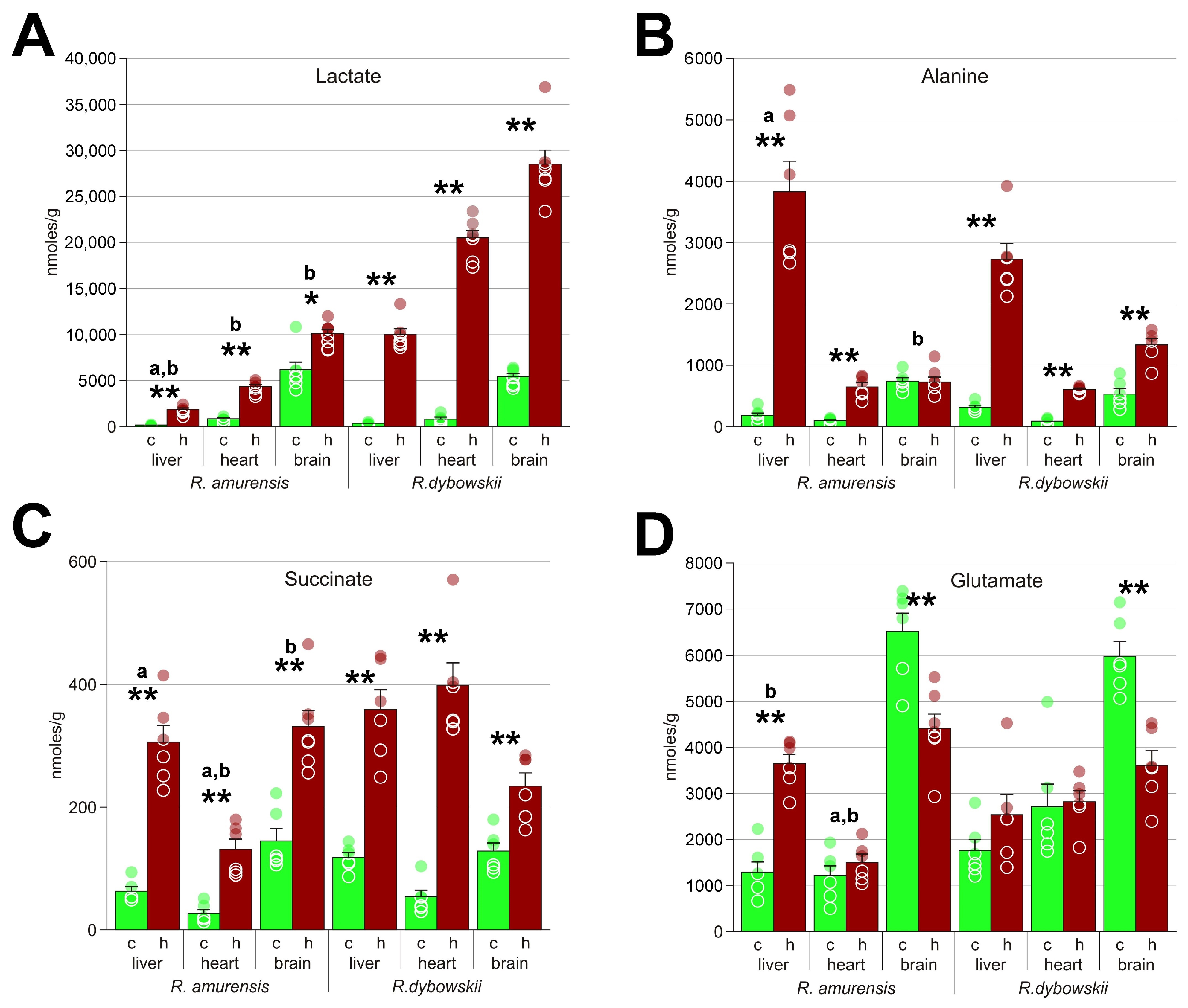 Animals 13 03349 g004