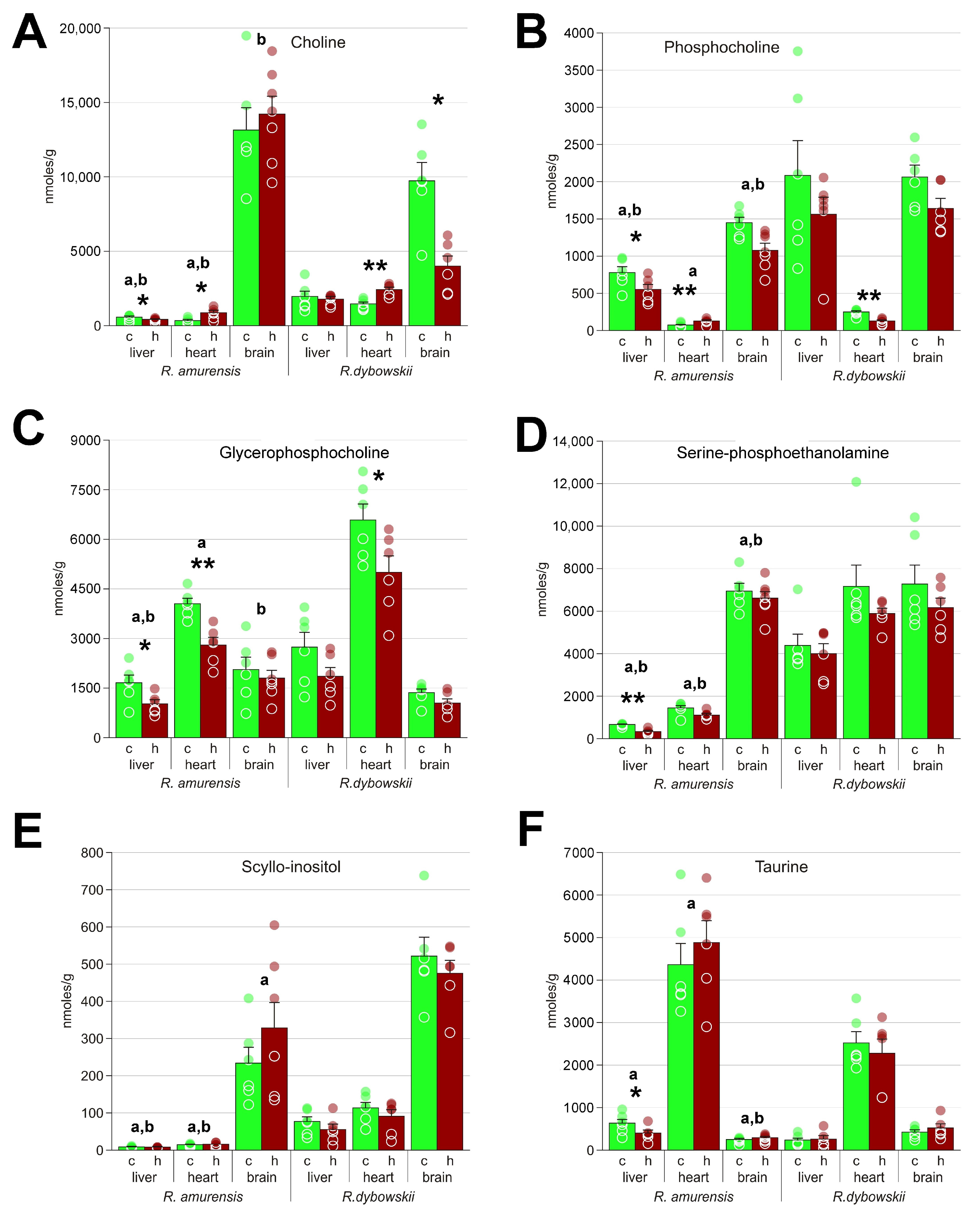 Animals 13 03349 g006