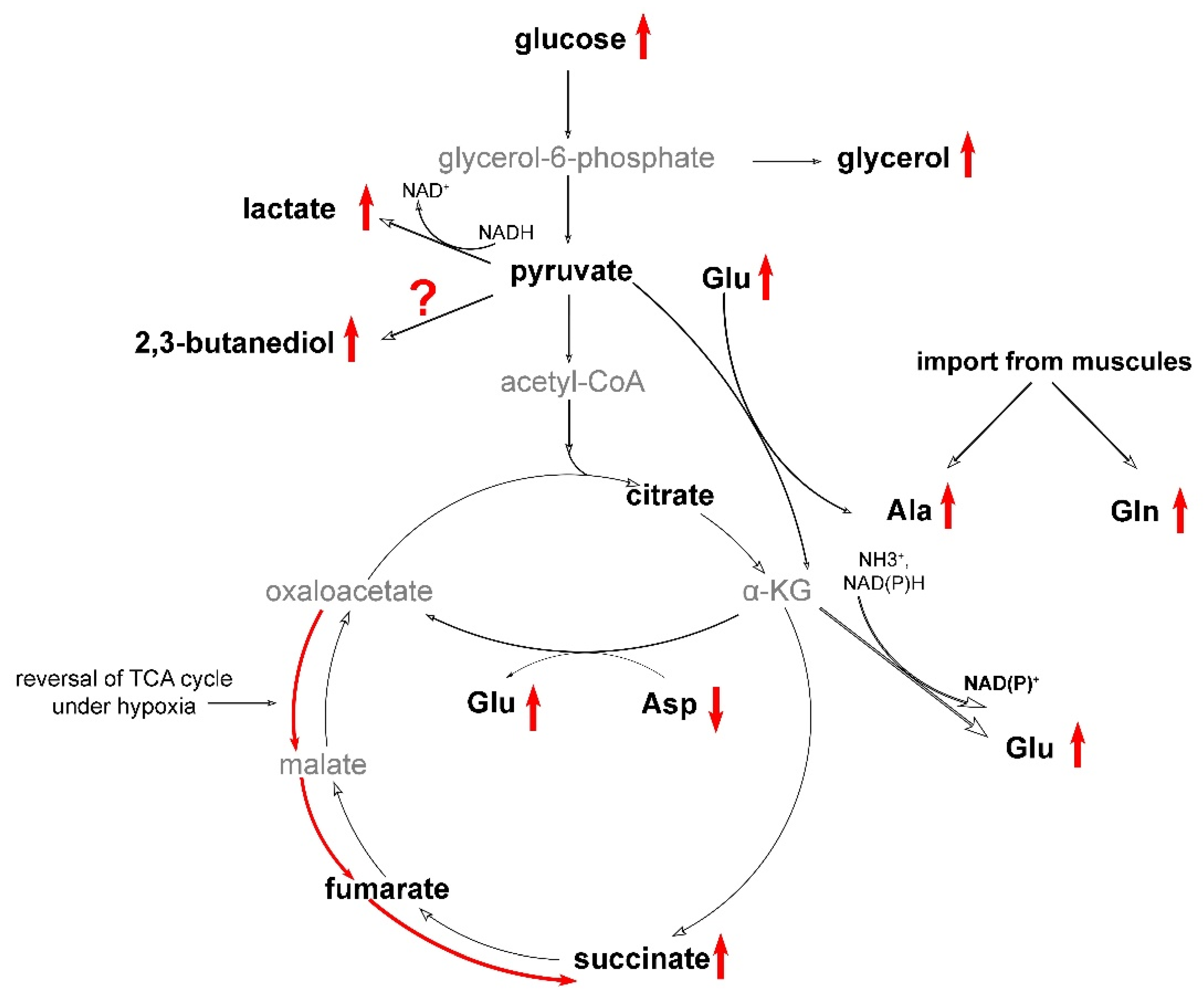 Animals 13 03349 g007