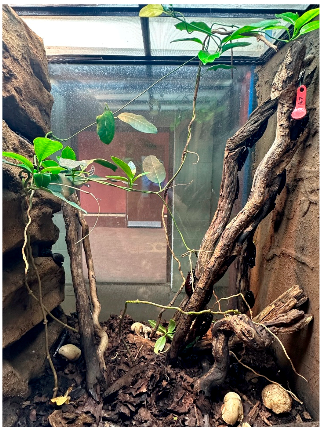 Animals 13 03351 g003