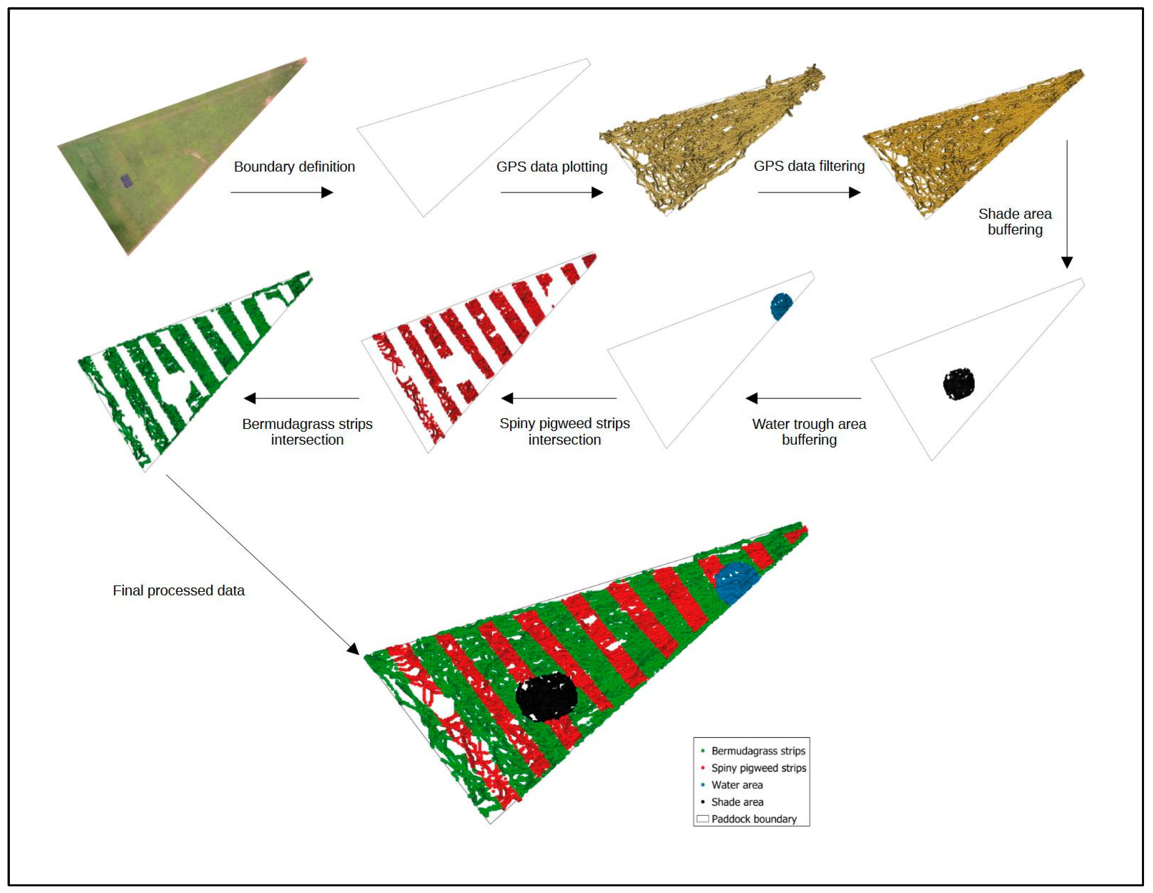 Animals 13 03353 g003