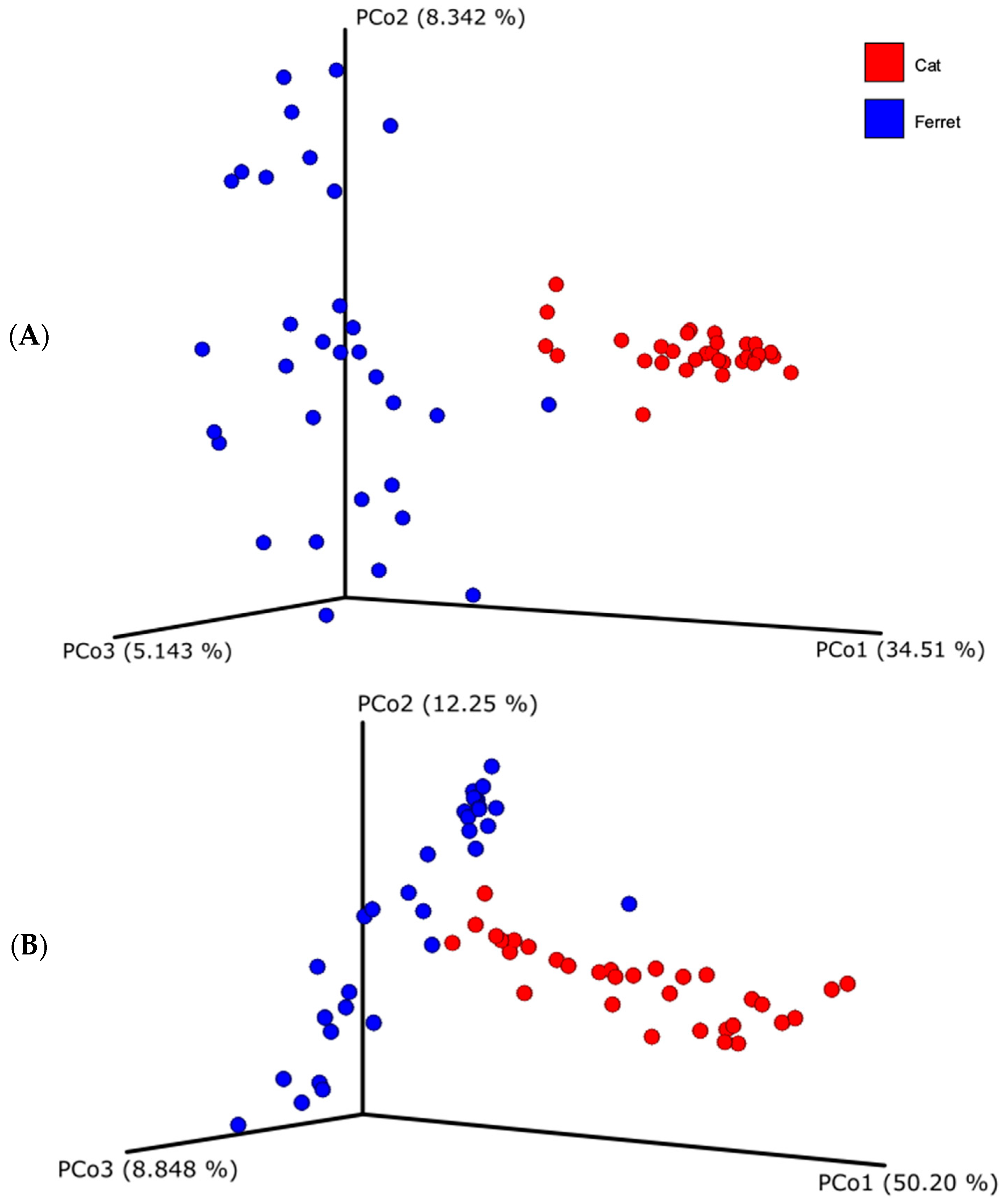 Animals 13 03354 g002
