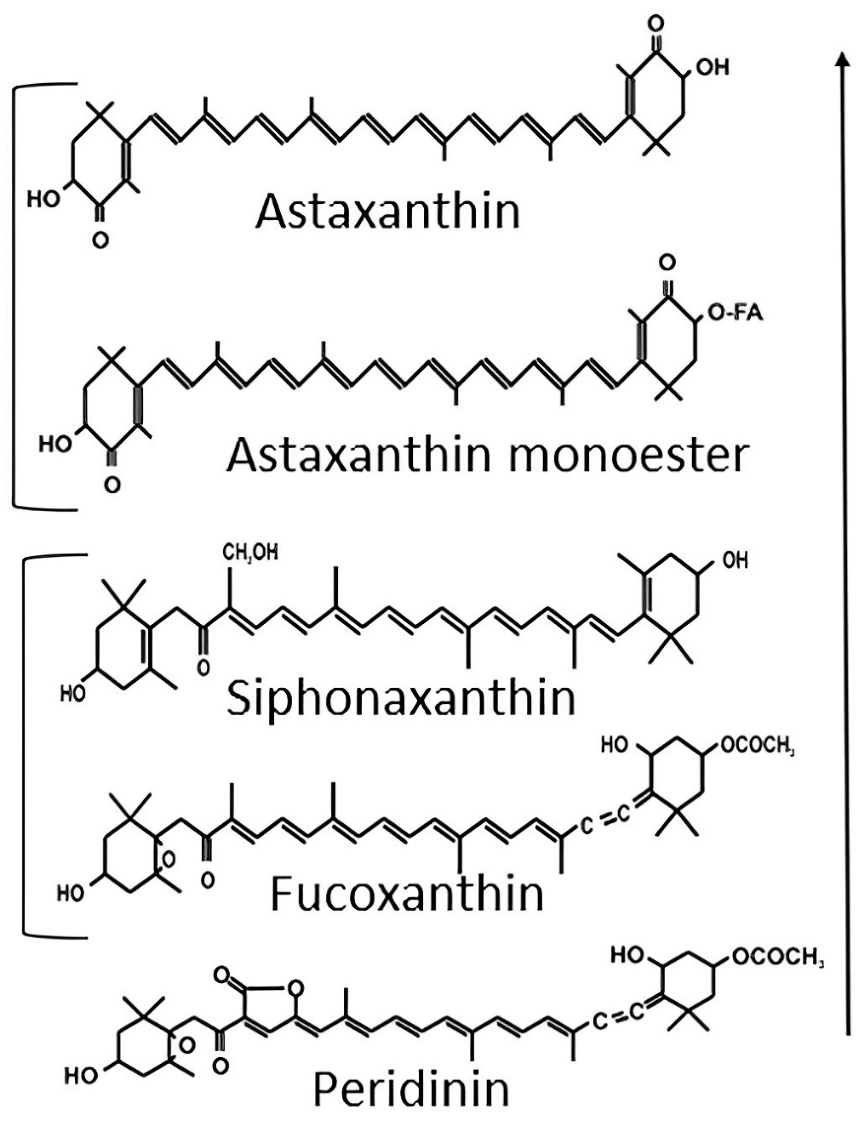 Animals 13 03357 g002
