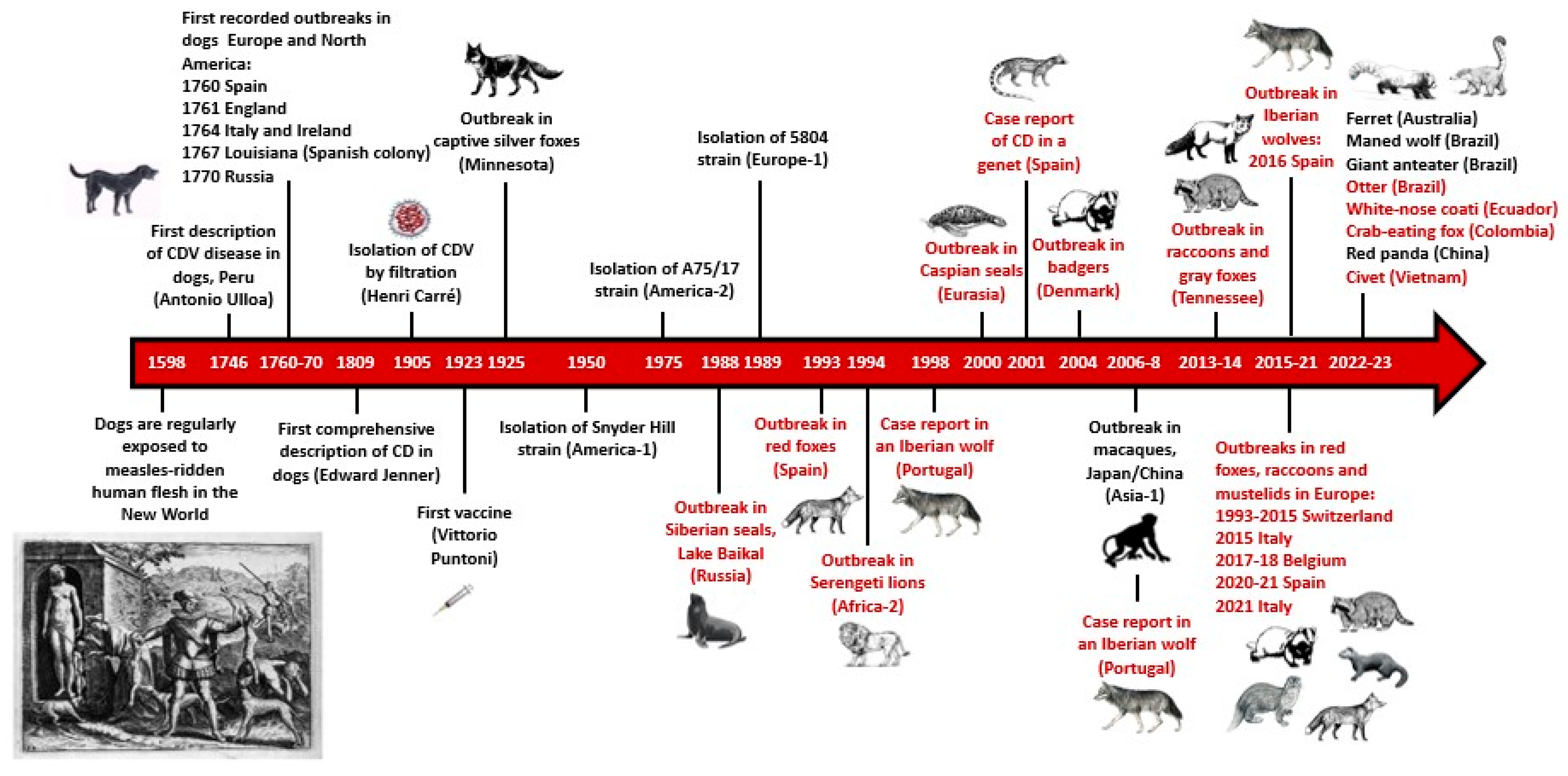Animals 13 03360 g001