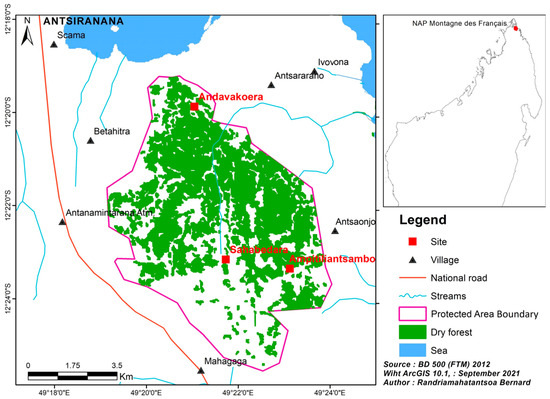Animals 13 03361 g001