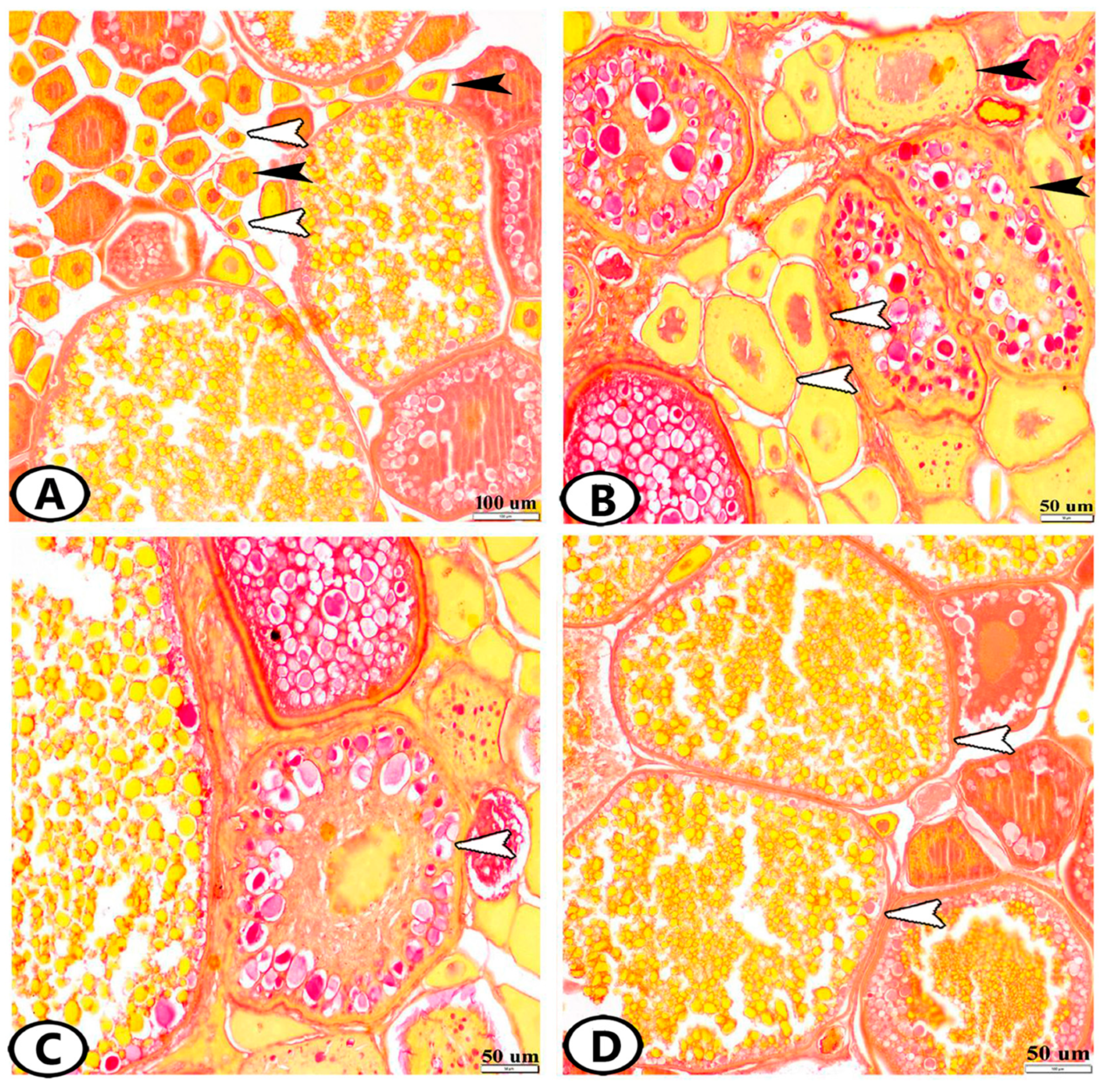 Animals 13 03362 g001