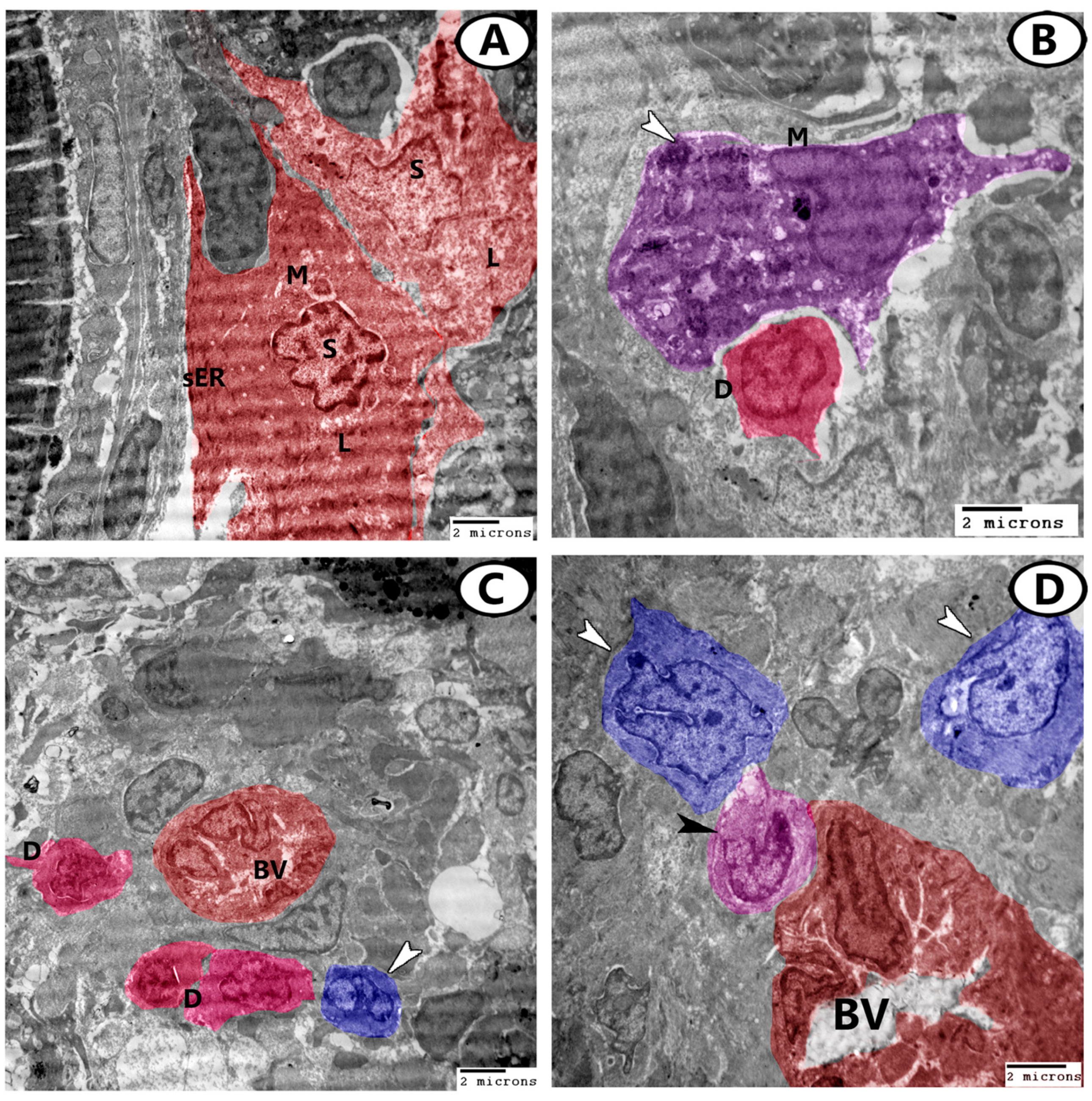 Animals 13 03362 g007