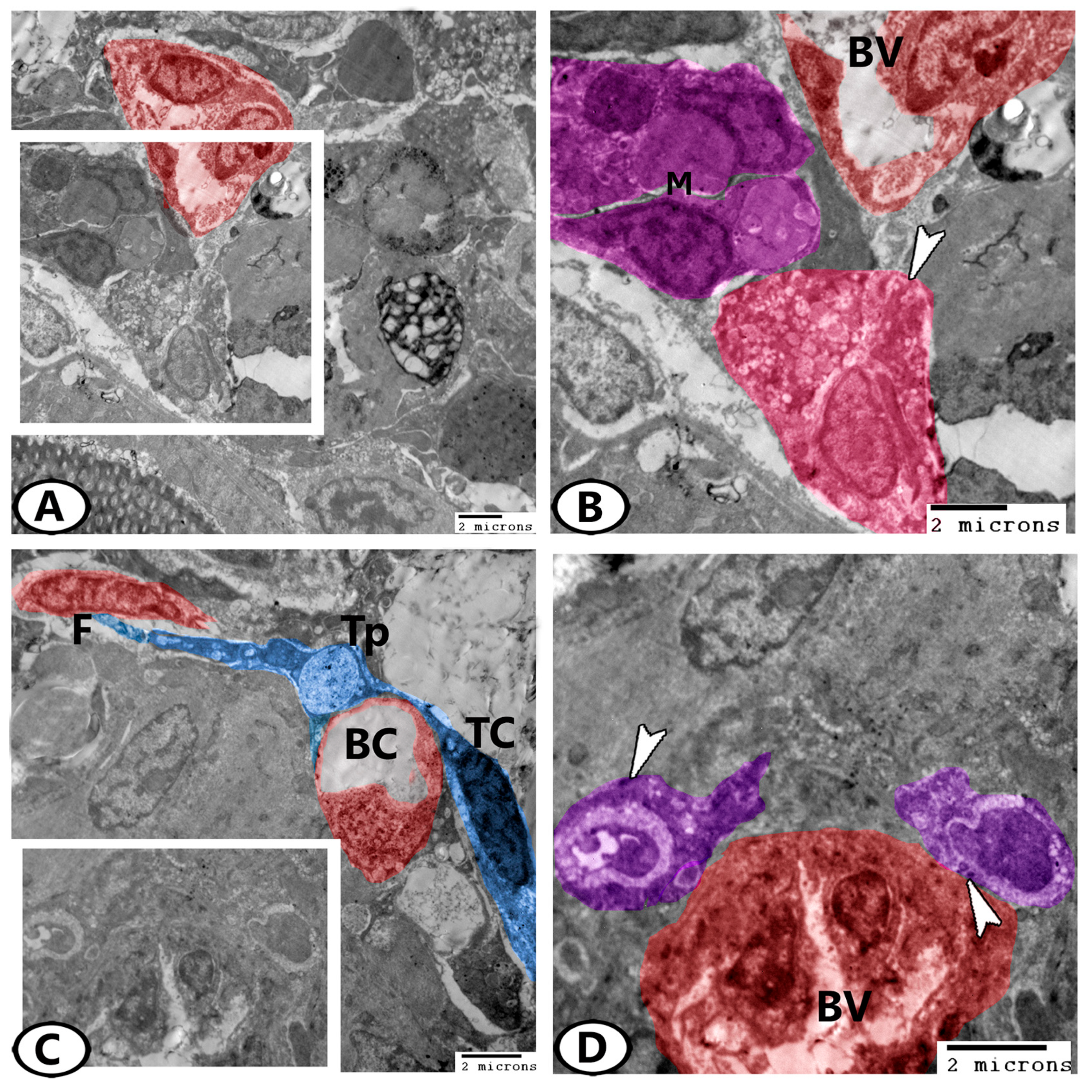 Animals 13 03362 g008