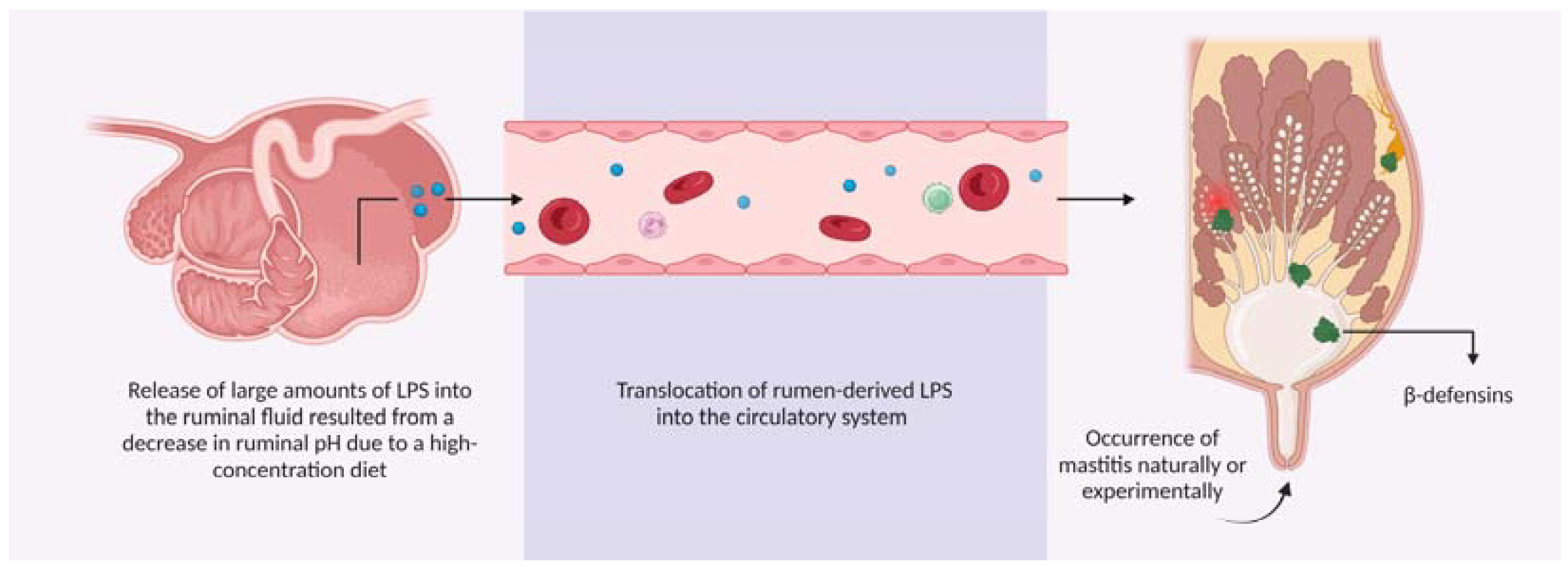 Animals 13 03372 g001