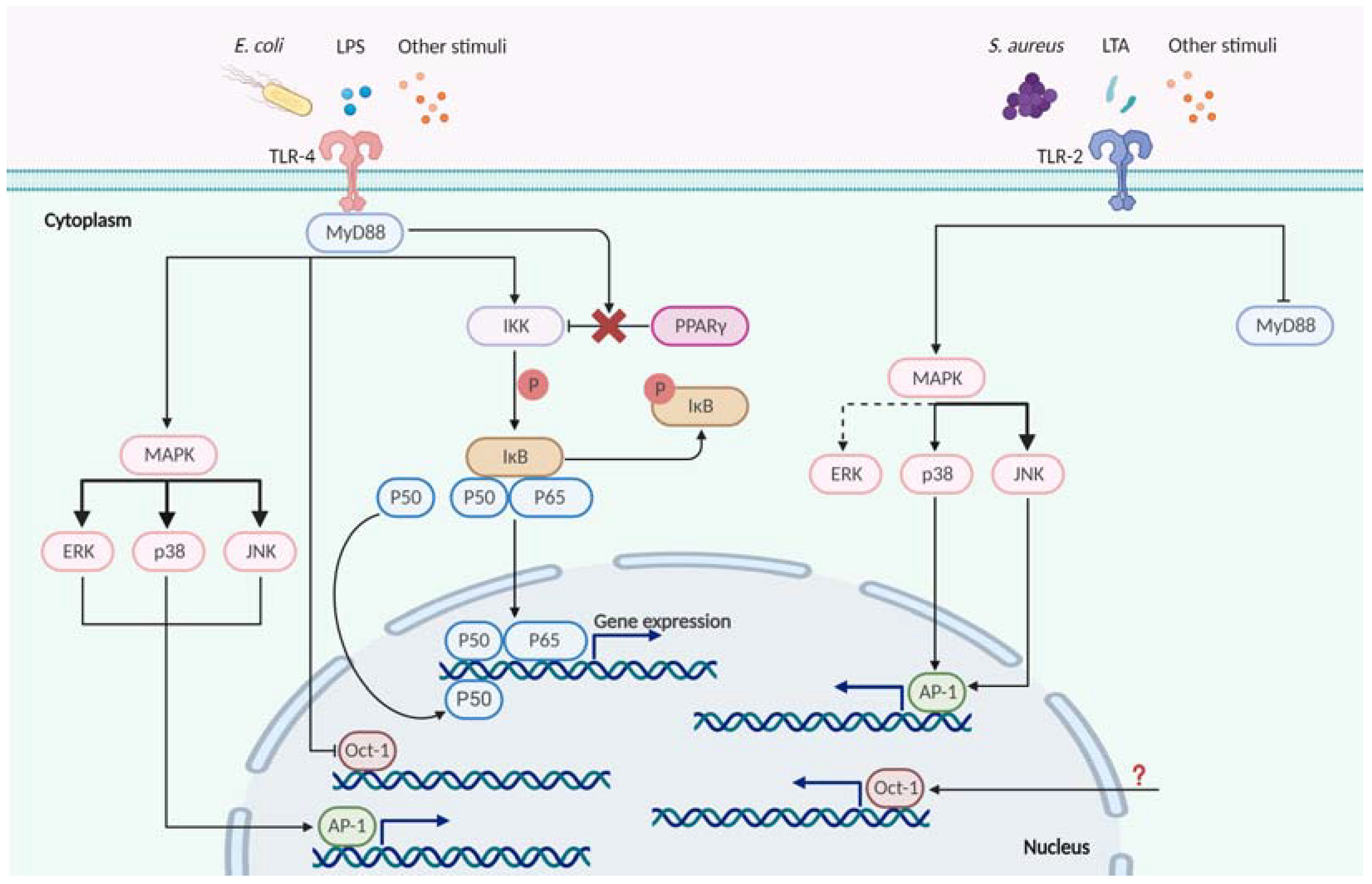 Animals 13 03372 g002