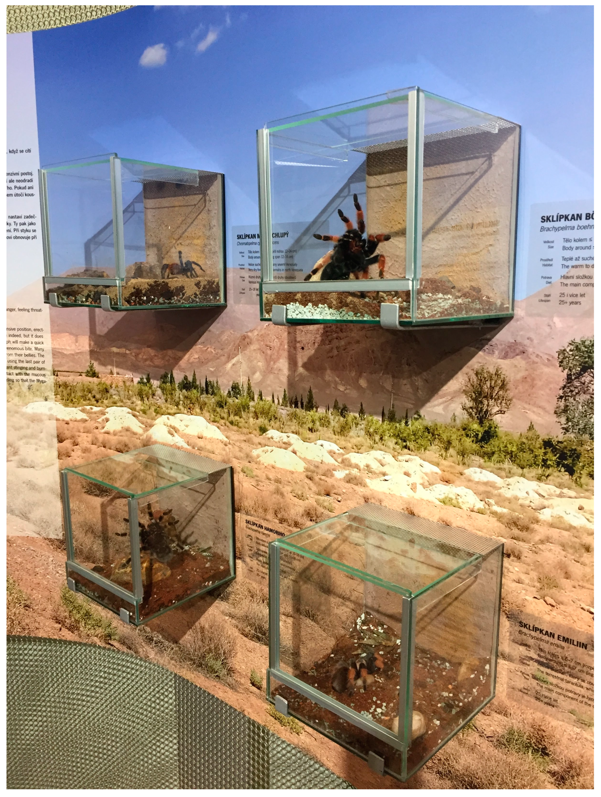 Animals 13 03375 g007