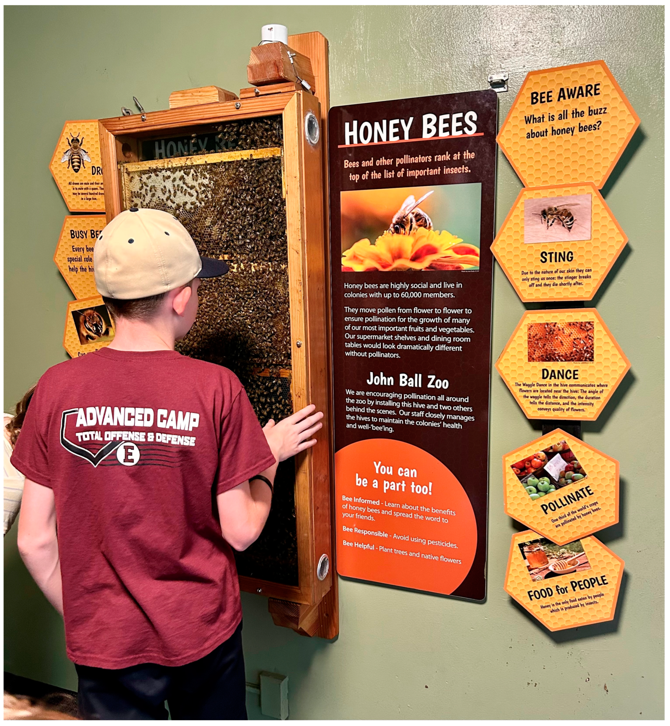 Animals 13 03375 g008