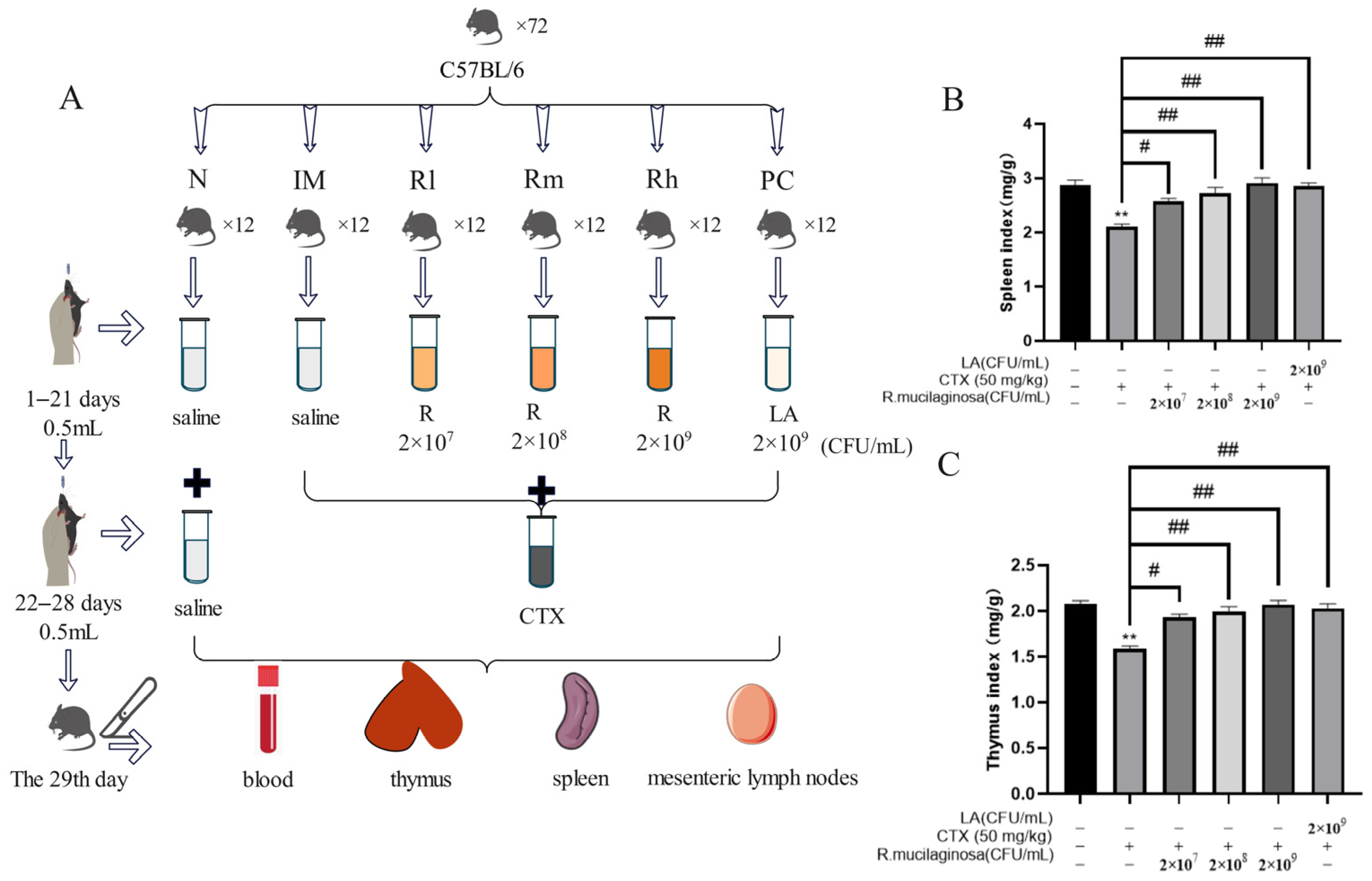 Animals 13 03376 g001