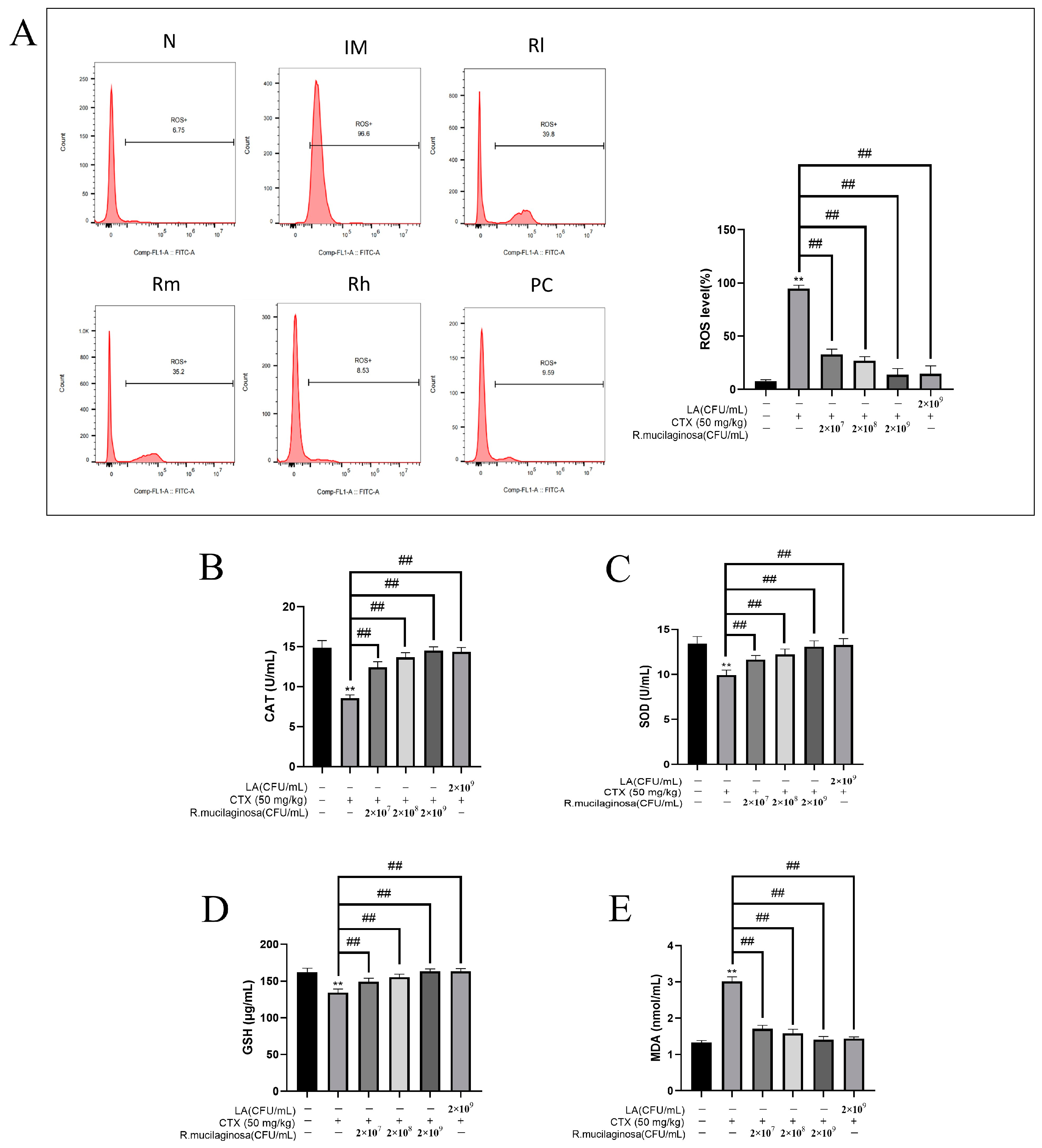 Animals 13 03376 g009