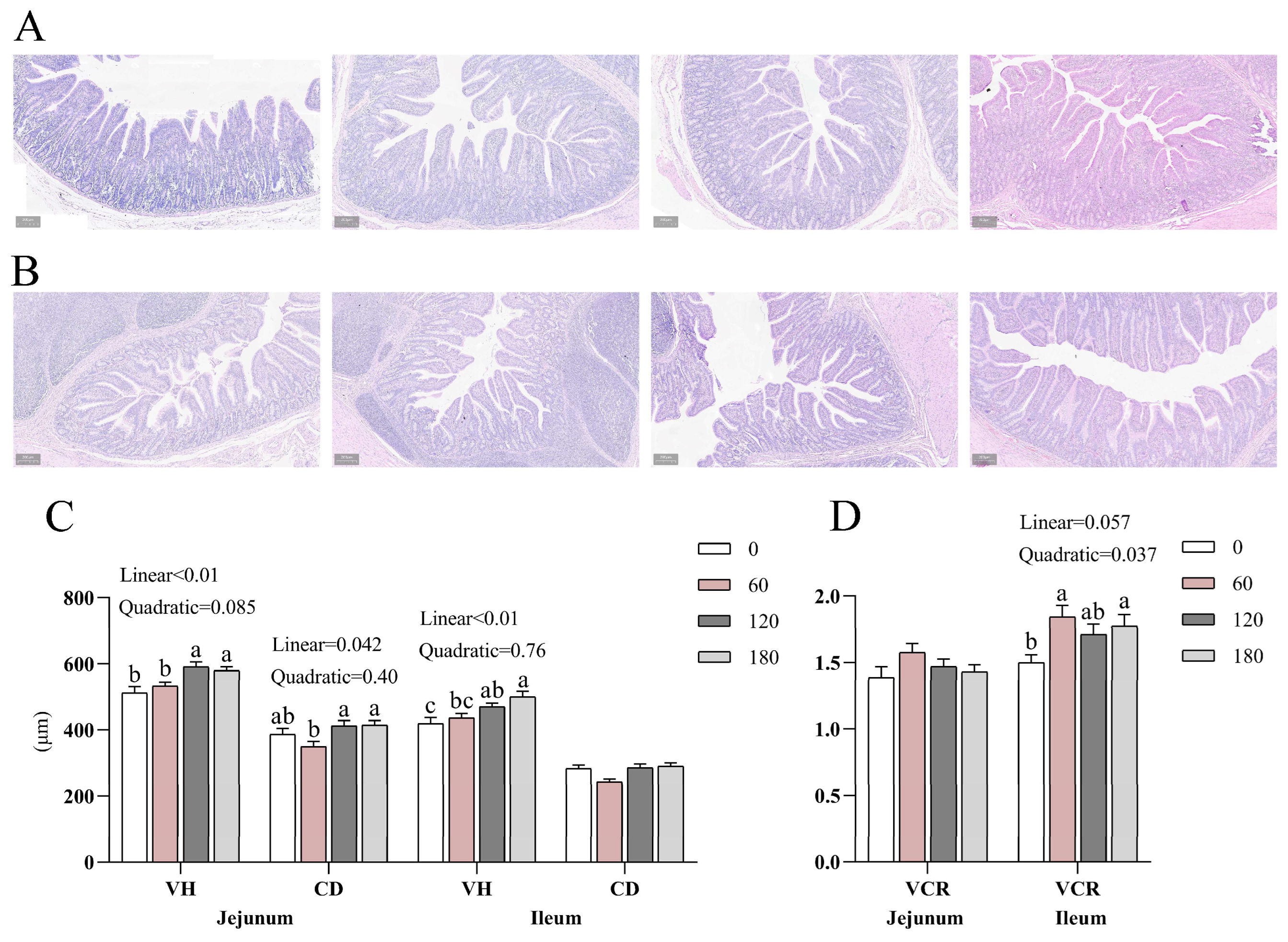 Animals 13 03380 g001