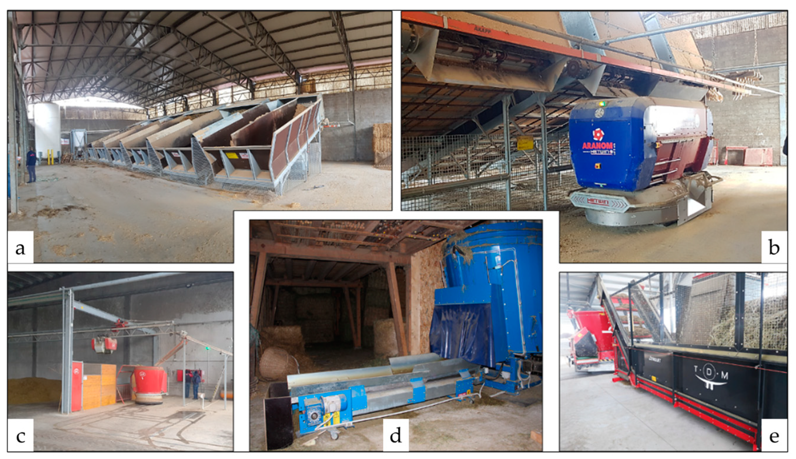 Animals 13 03382 g003