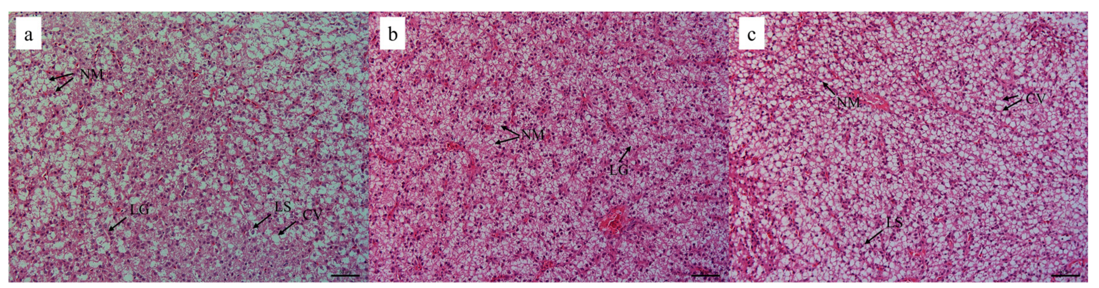 Animals 13 03386 g002