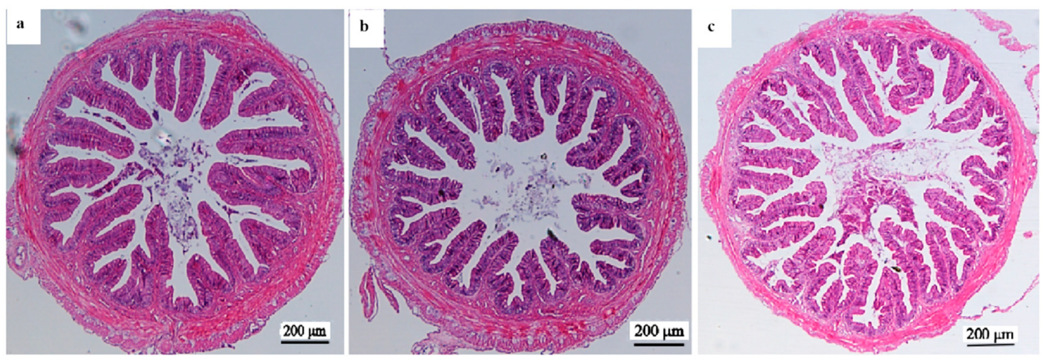 Animals 13 03386 g003