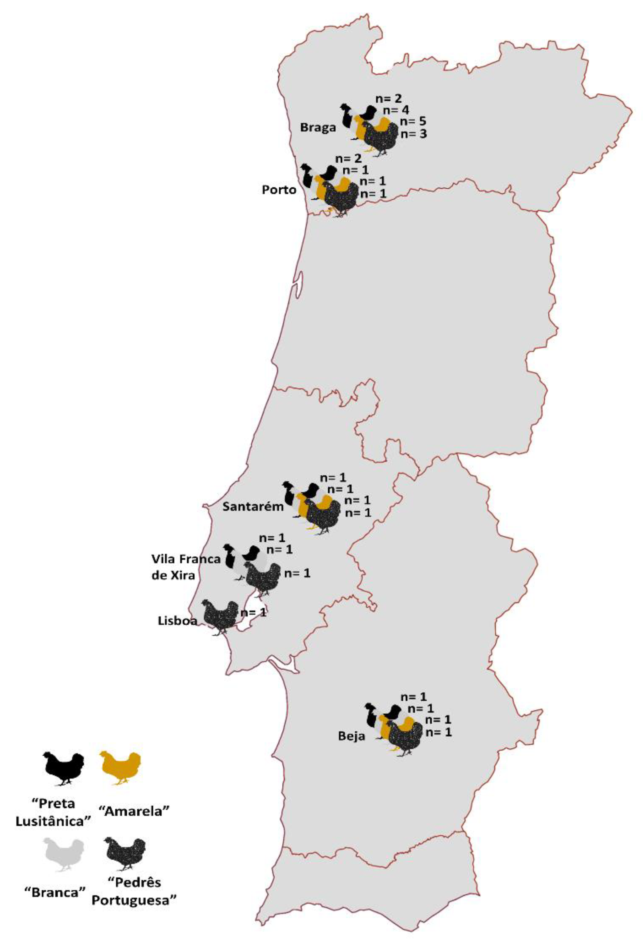 Animals 13 03389 g001