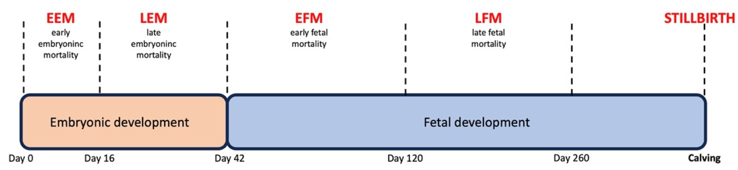 Animals 13 03390 g001