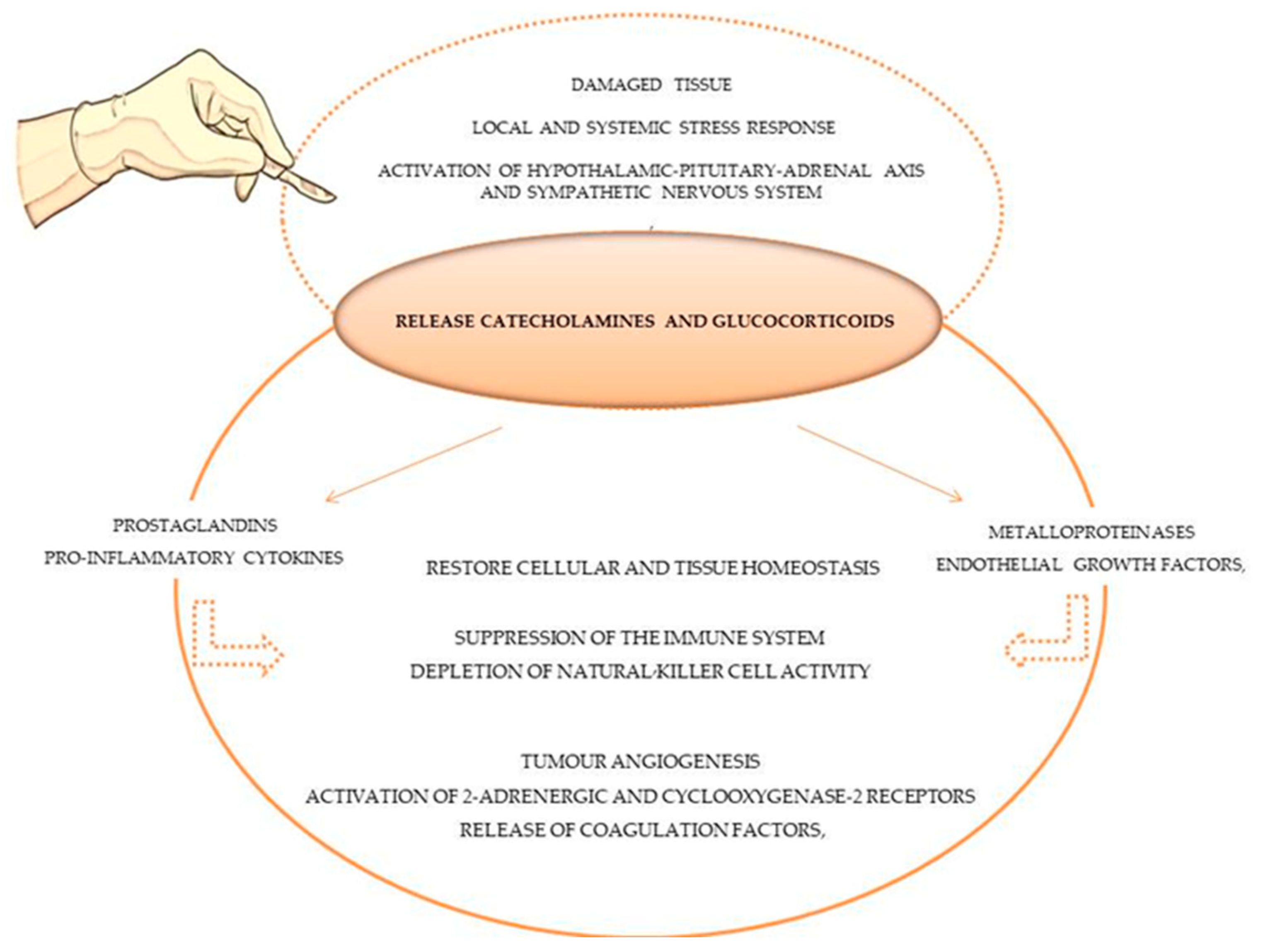 Animals 13 03392 g001