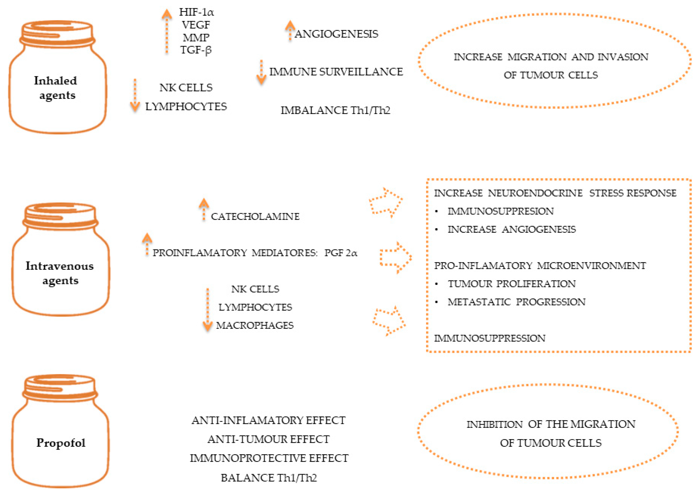 Animals 13 03392 g002