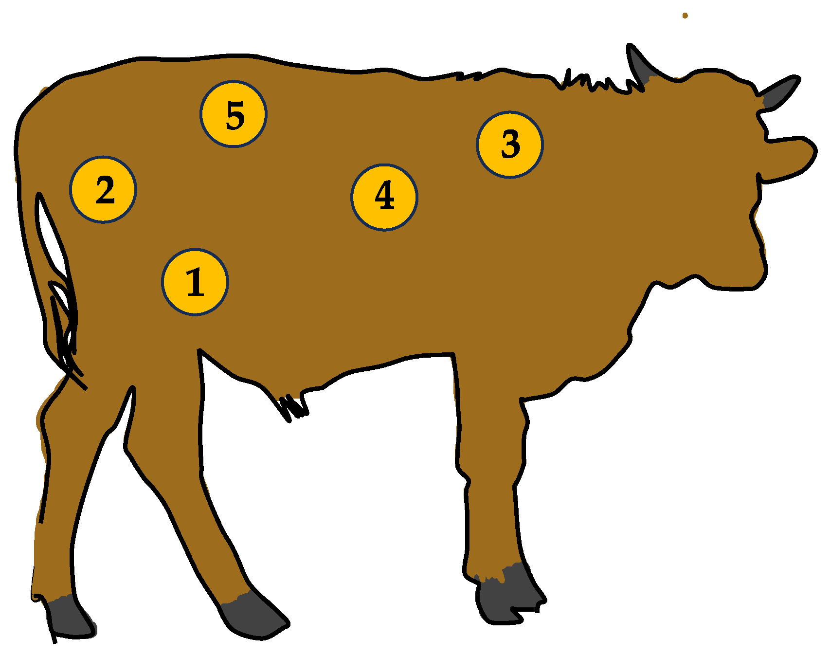 Animals 13 03393 g002