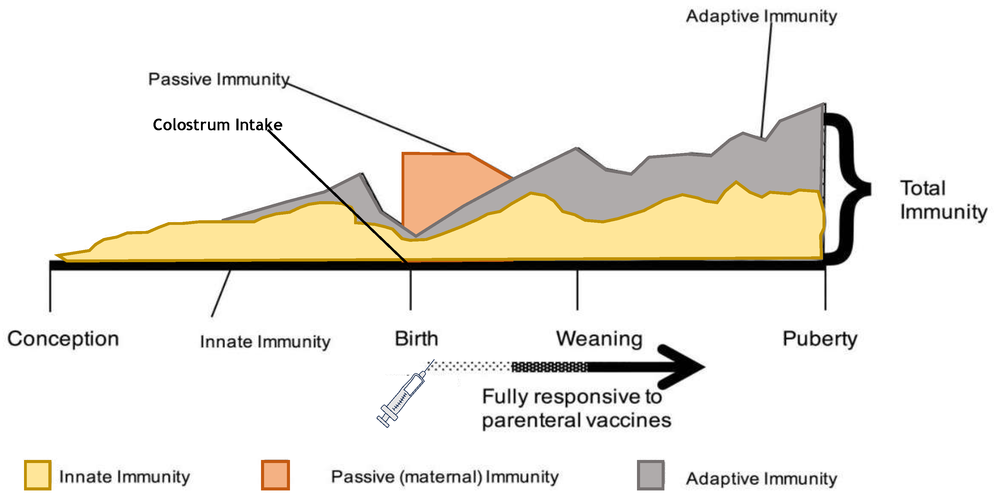 Animals 13 03393 g003