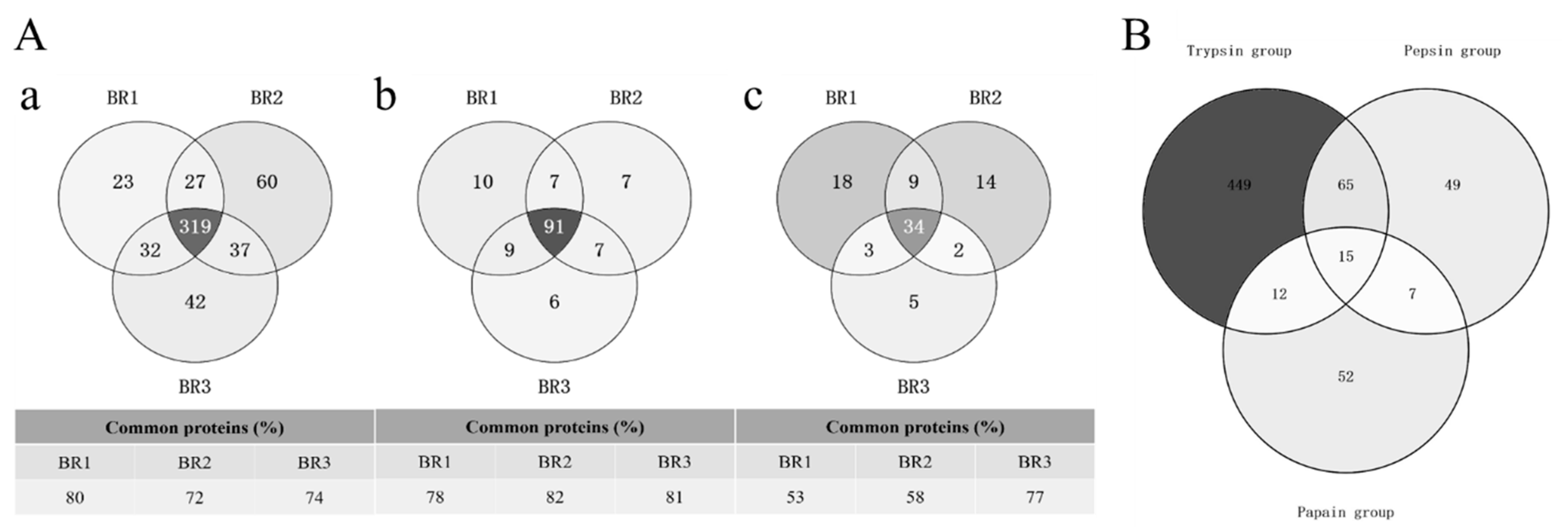 Animals 13 03395 g001