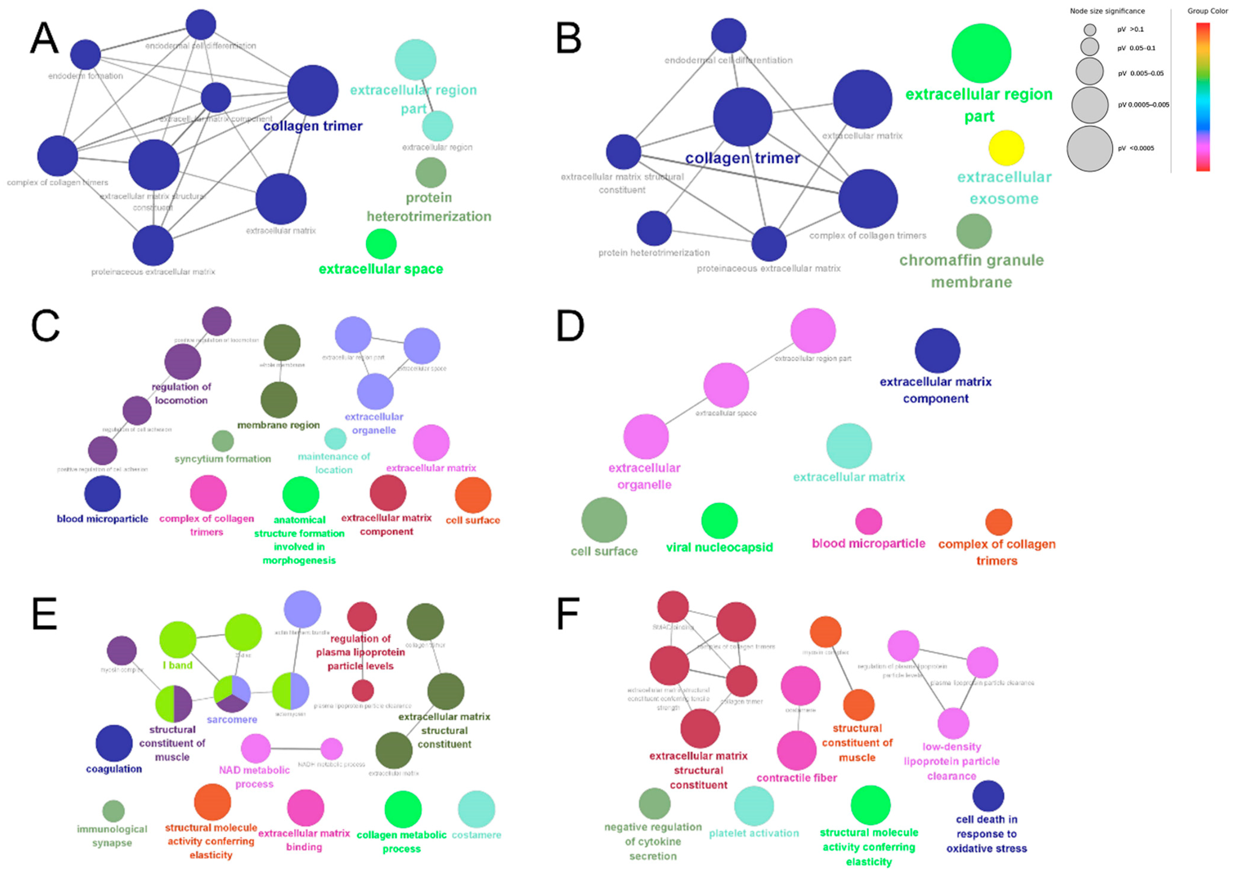 Animals 13 03395 g006