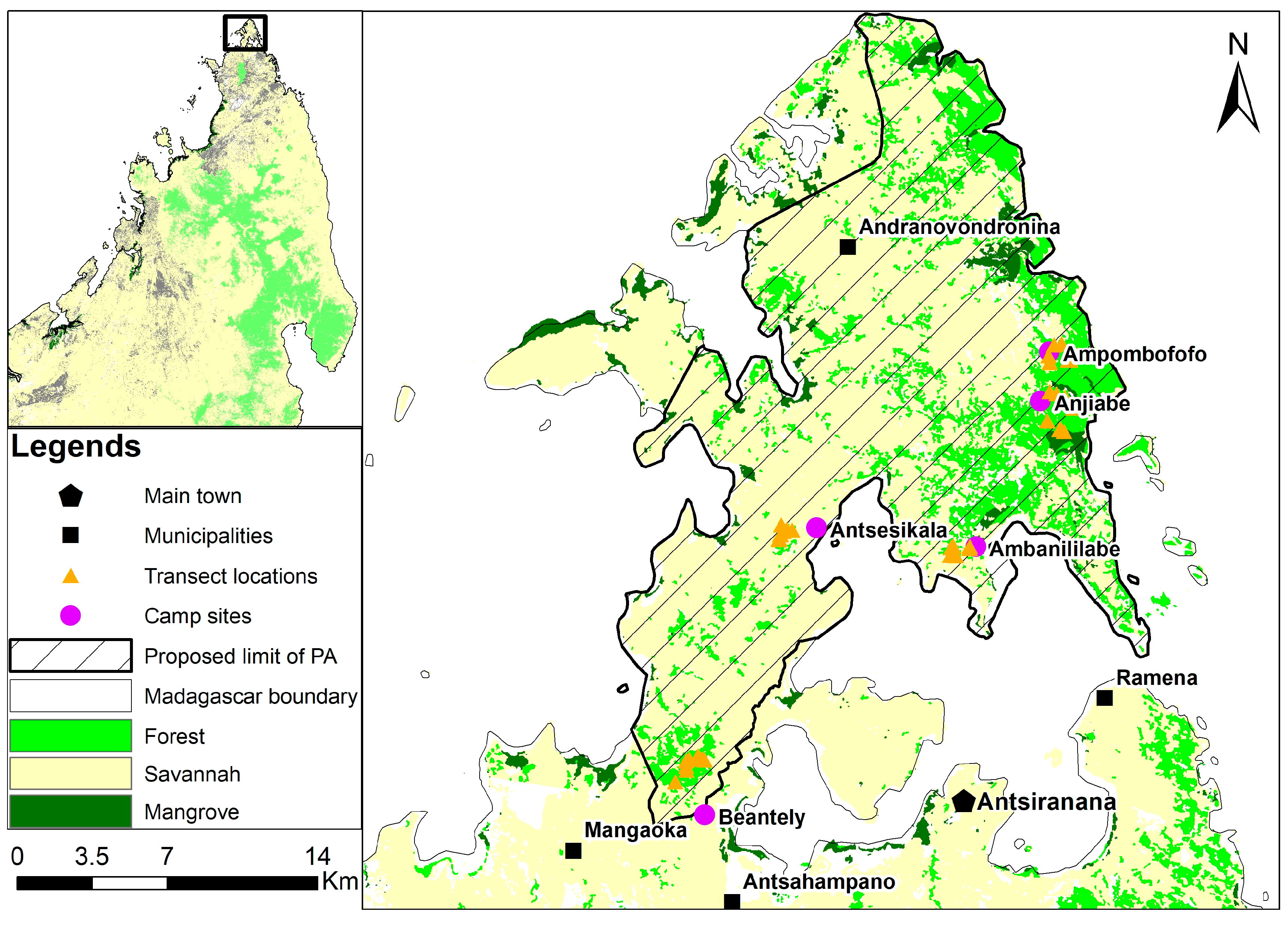 Animals 13 03396 g001