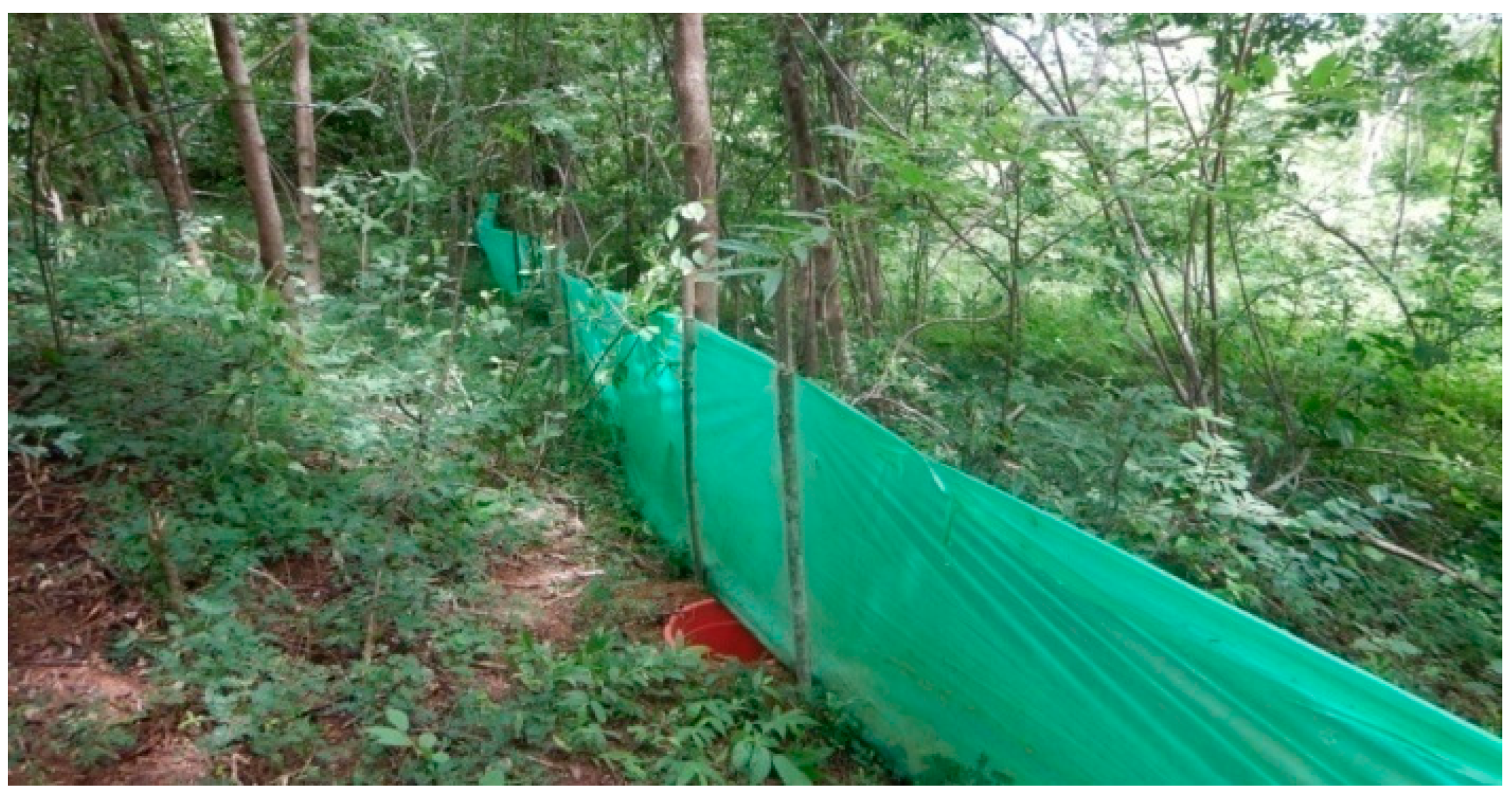 Animals 13 03396 g003