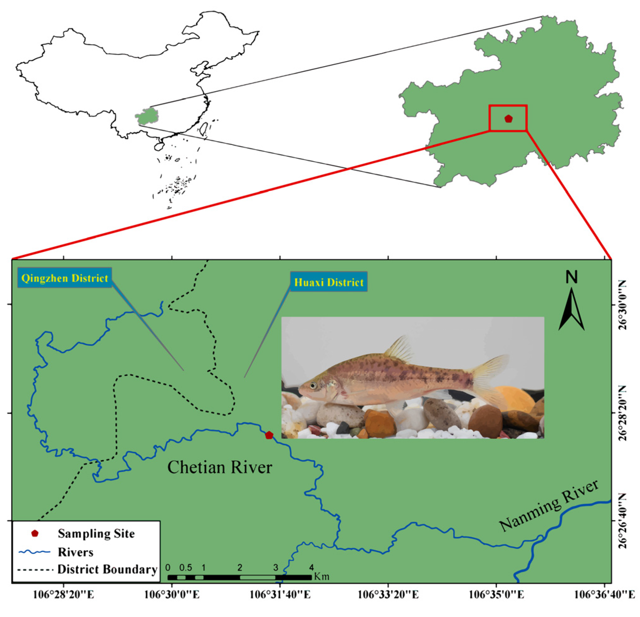 Animals 13 03399 g001