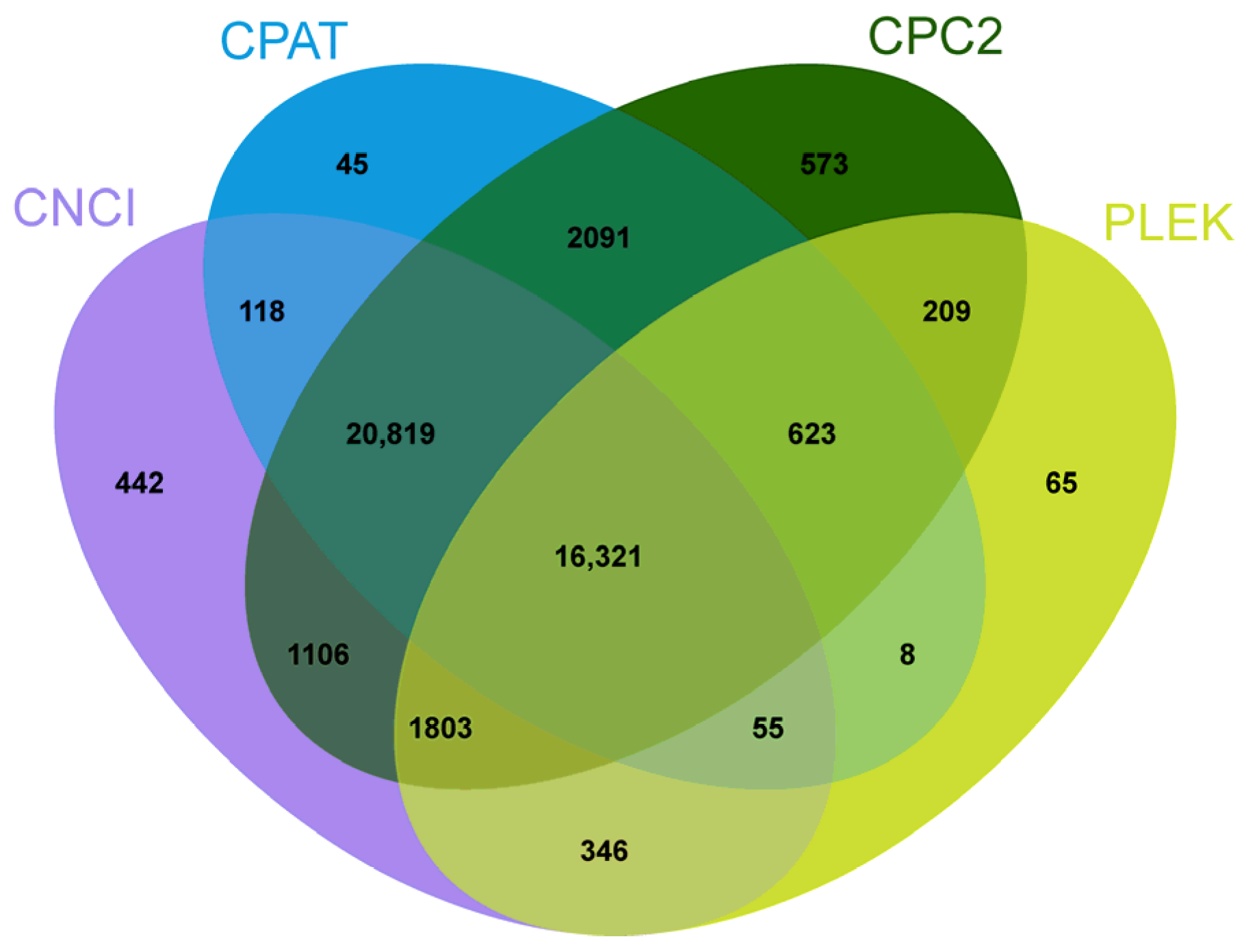 Animals 13 03399 g006