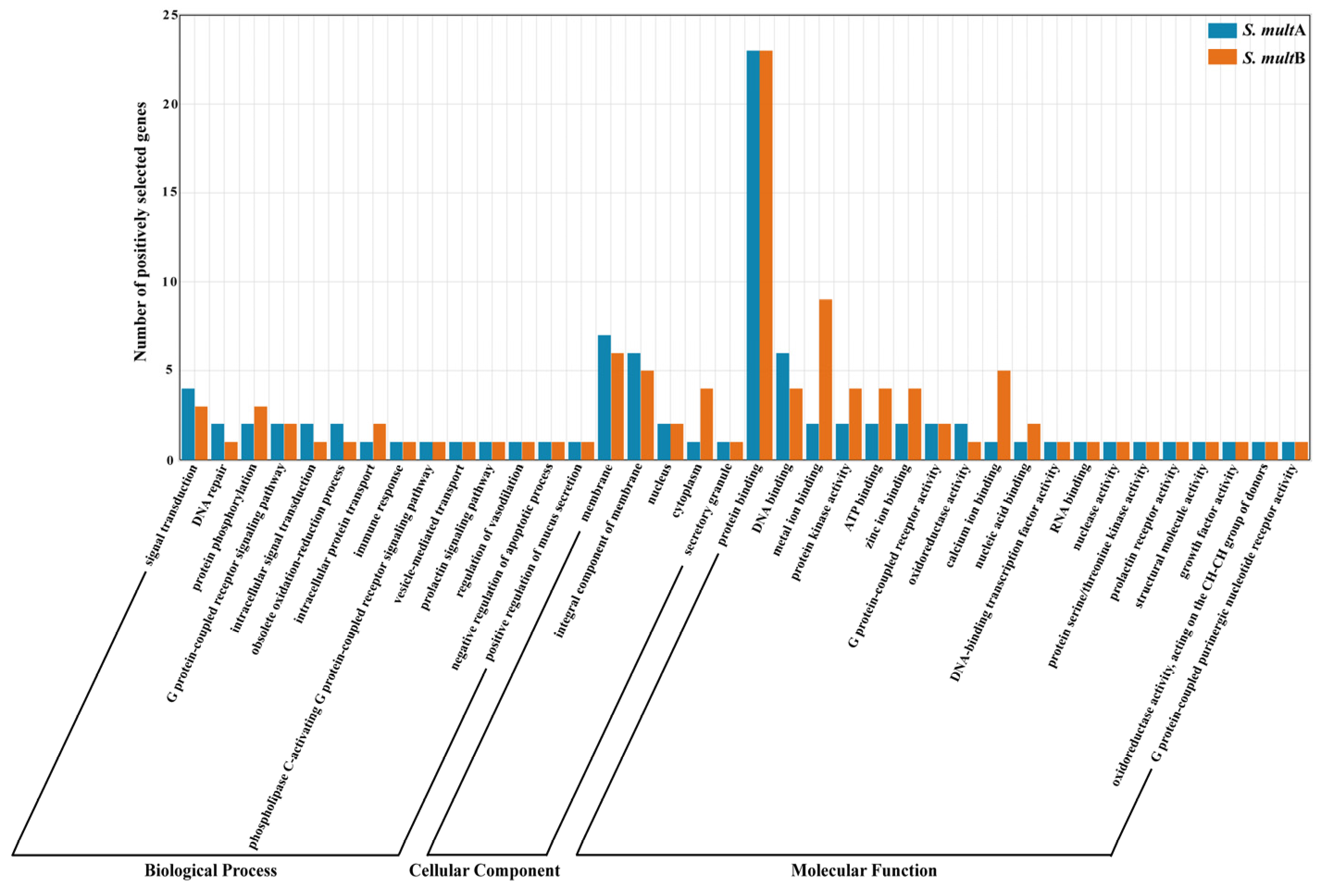 Animals 13 03399 g010