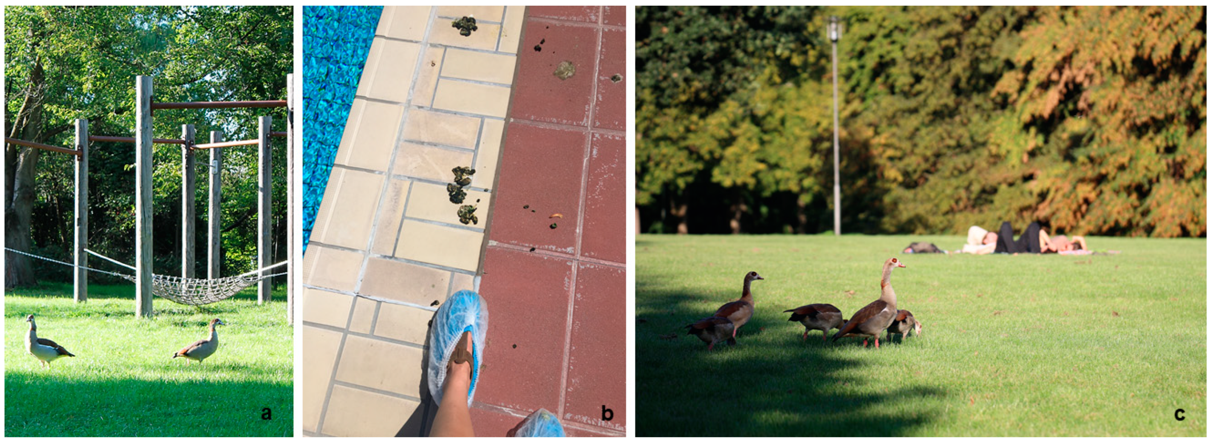 Animals 13 03403 g001