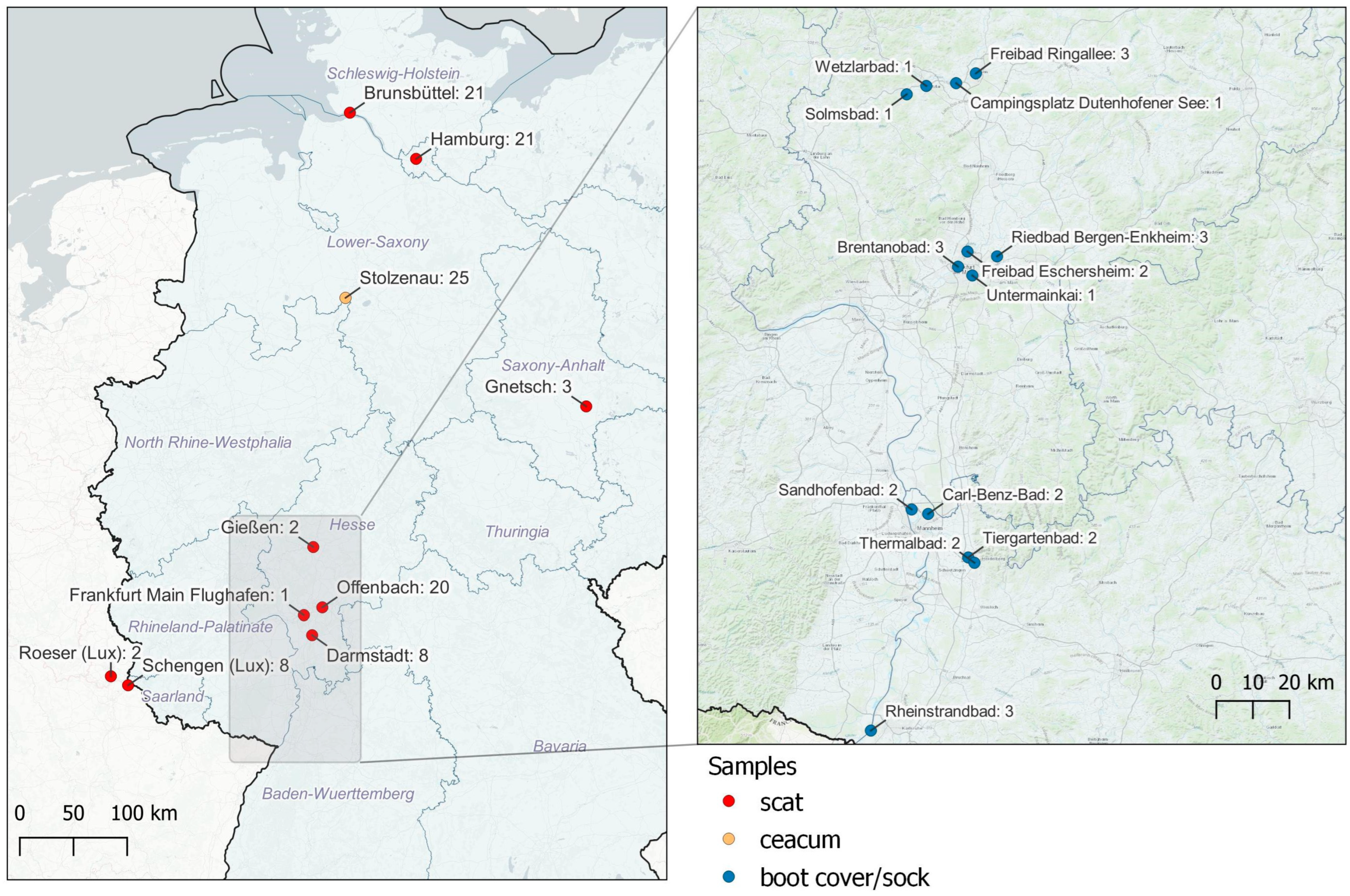 Animals 13 03403 g002