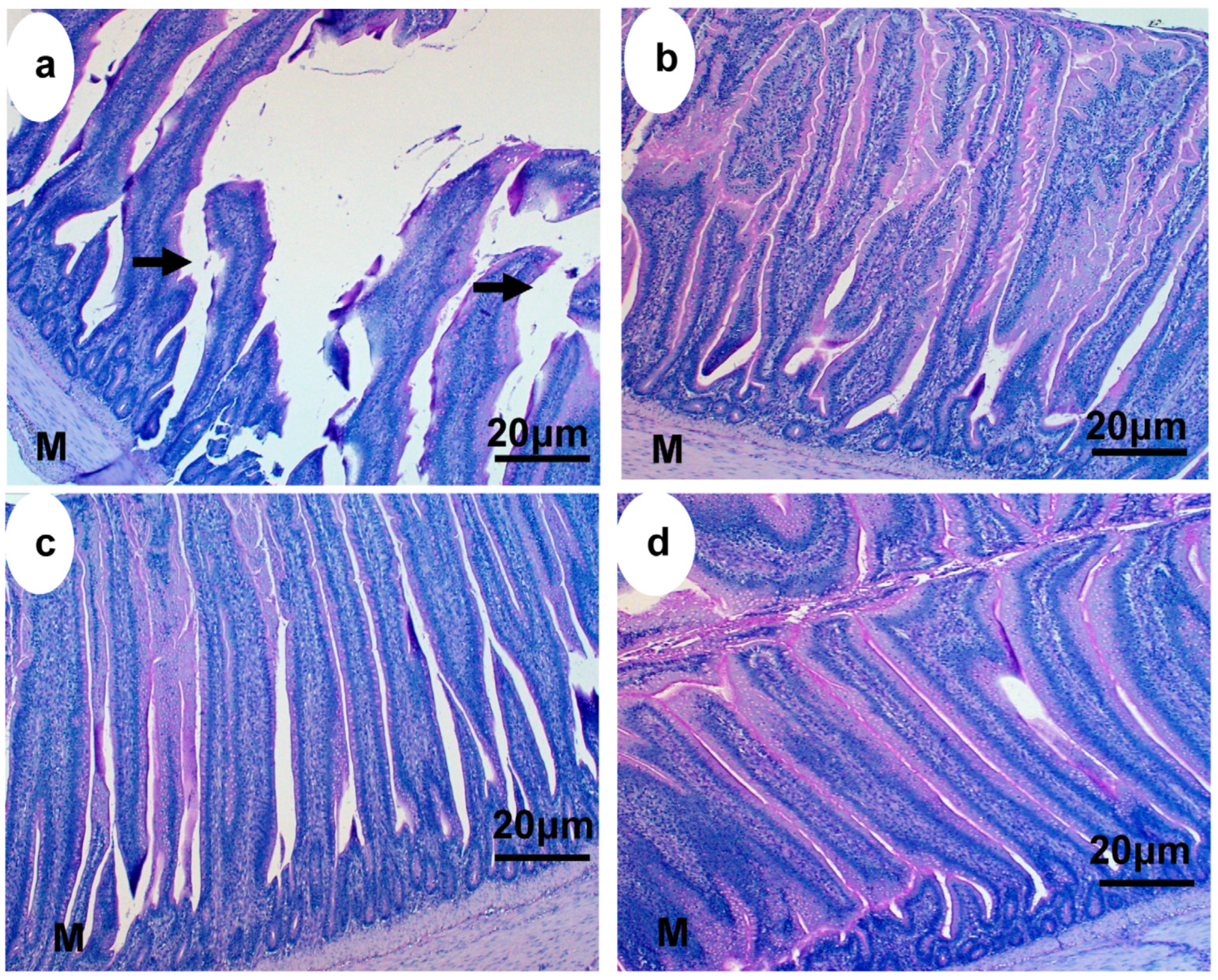 Animals 13 03407 g004