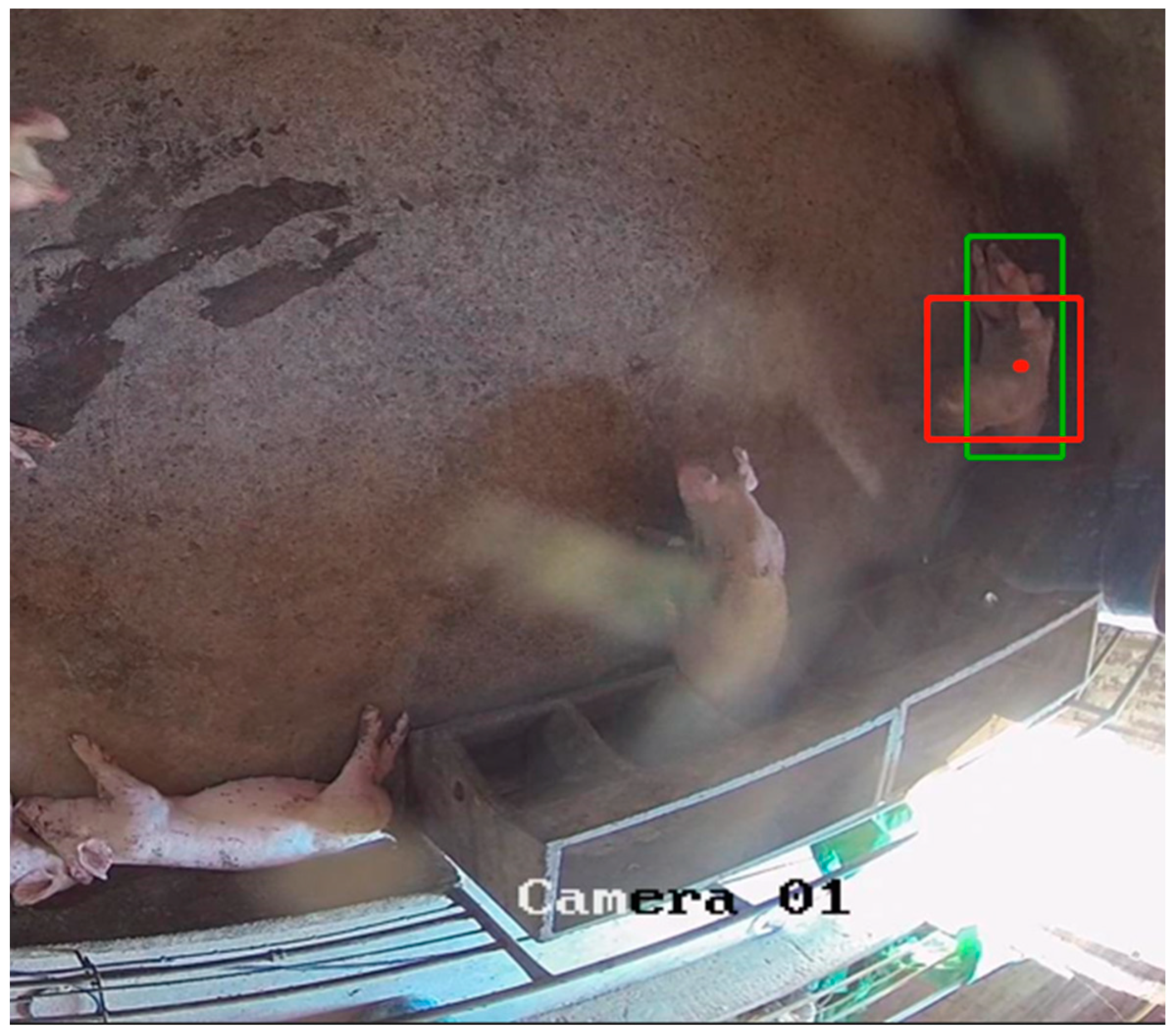 Animals 13 03411 g009