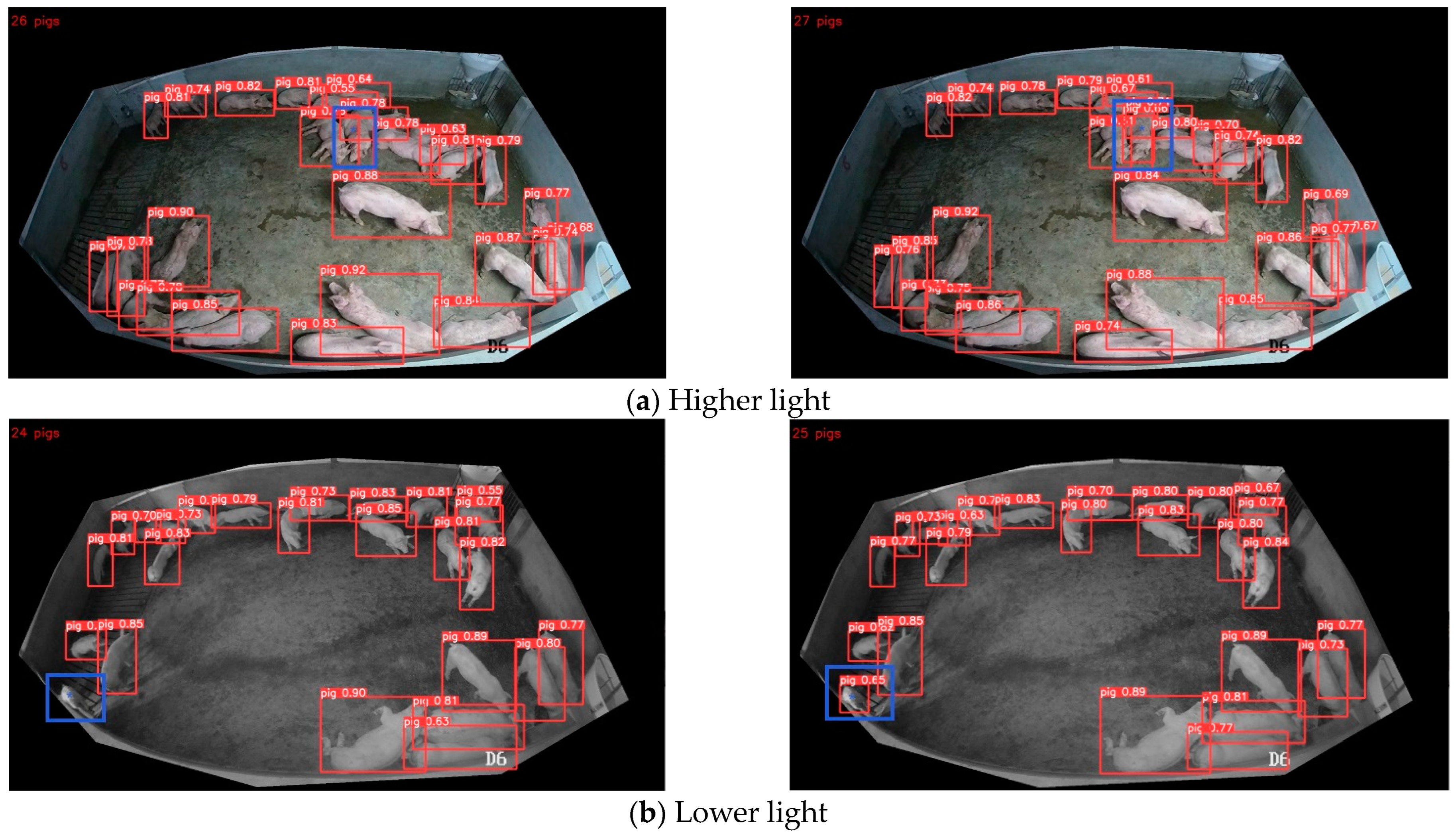 Animals 13 03411 g013