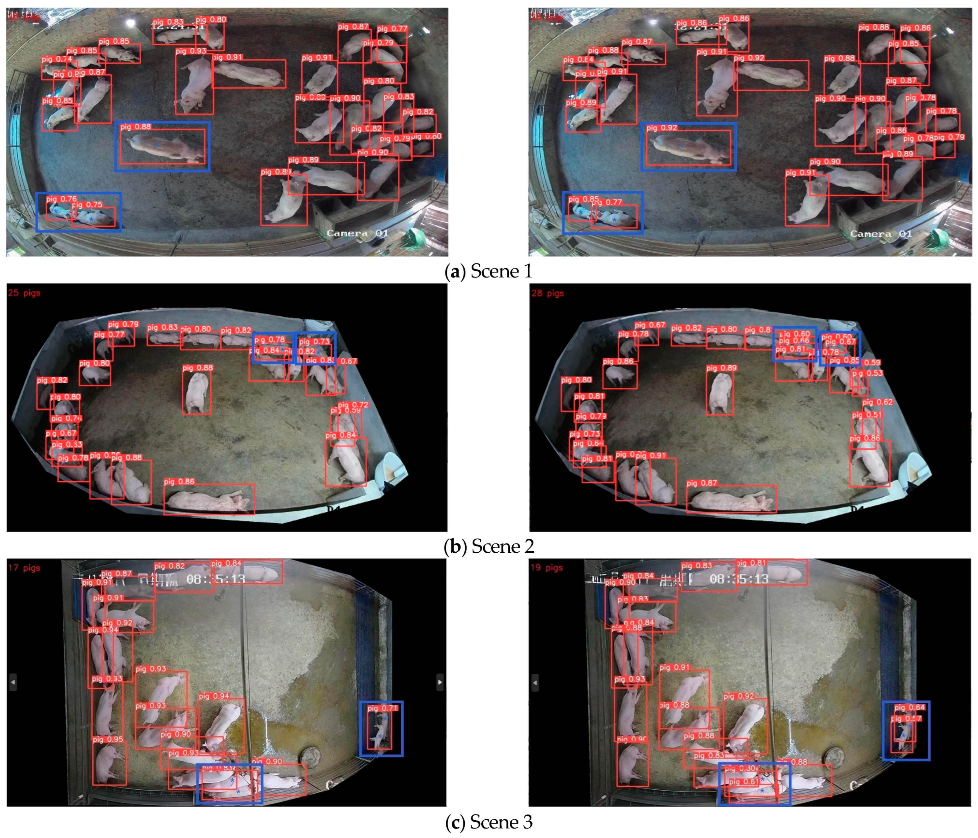 Animals 13 03411 g014