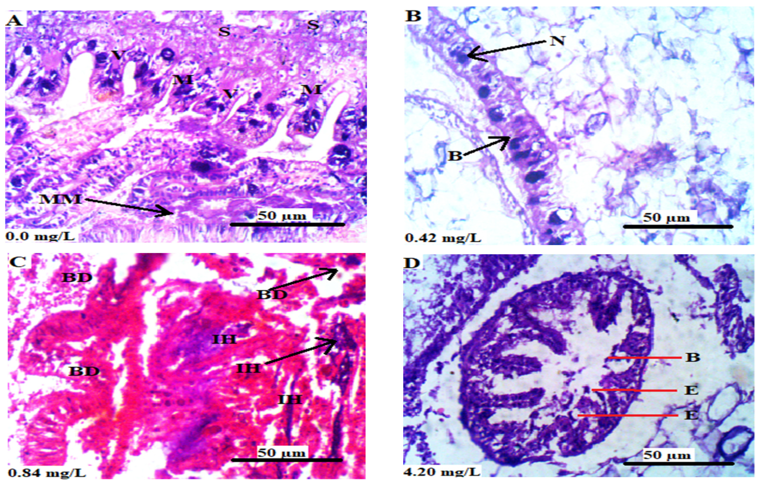 Animals 13 03412 g005