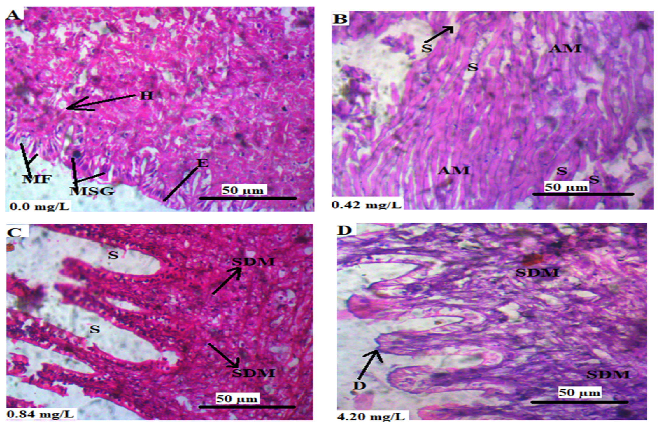 Animals 13 03412 g006