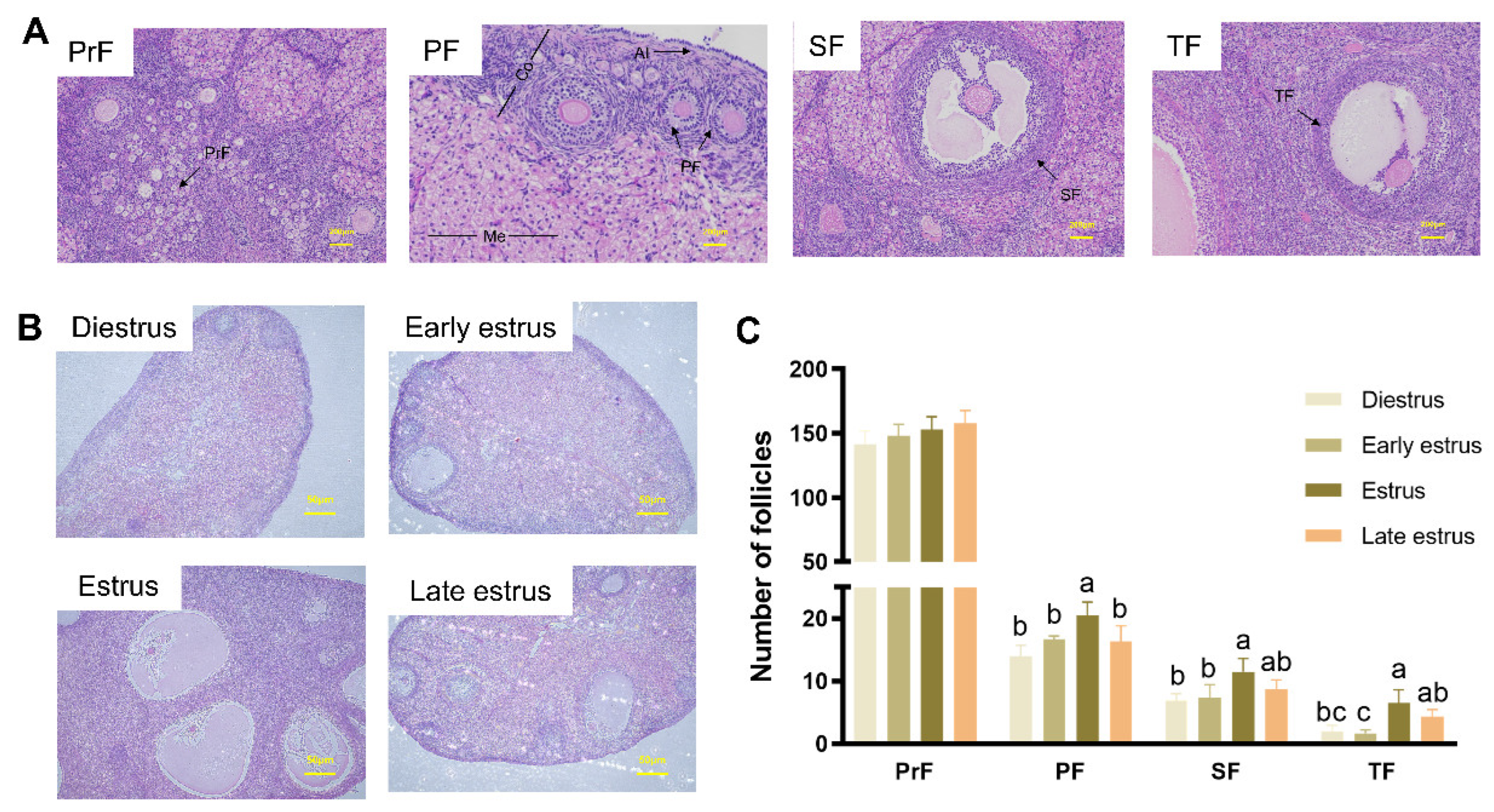 Animals 13 03414 g003