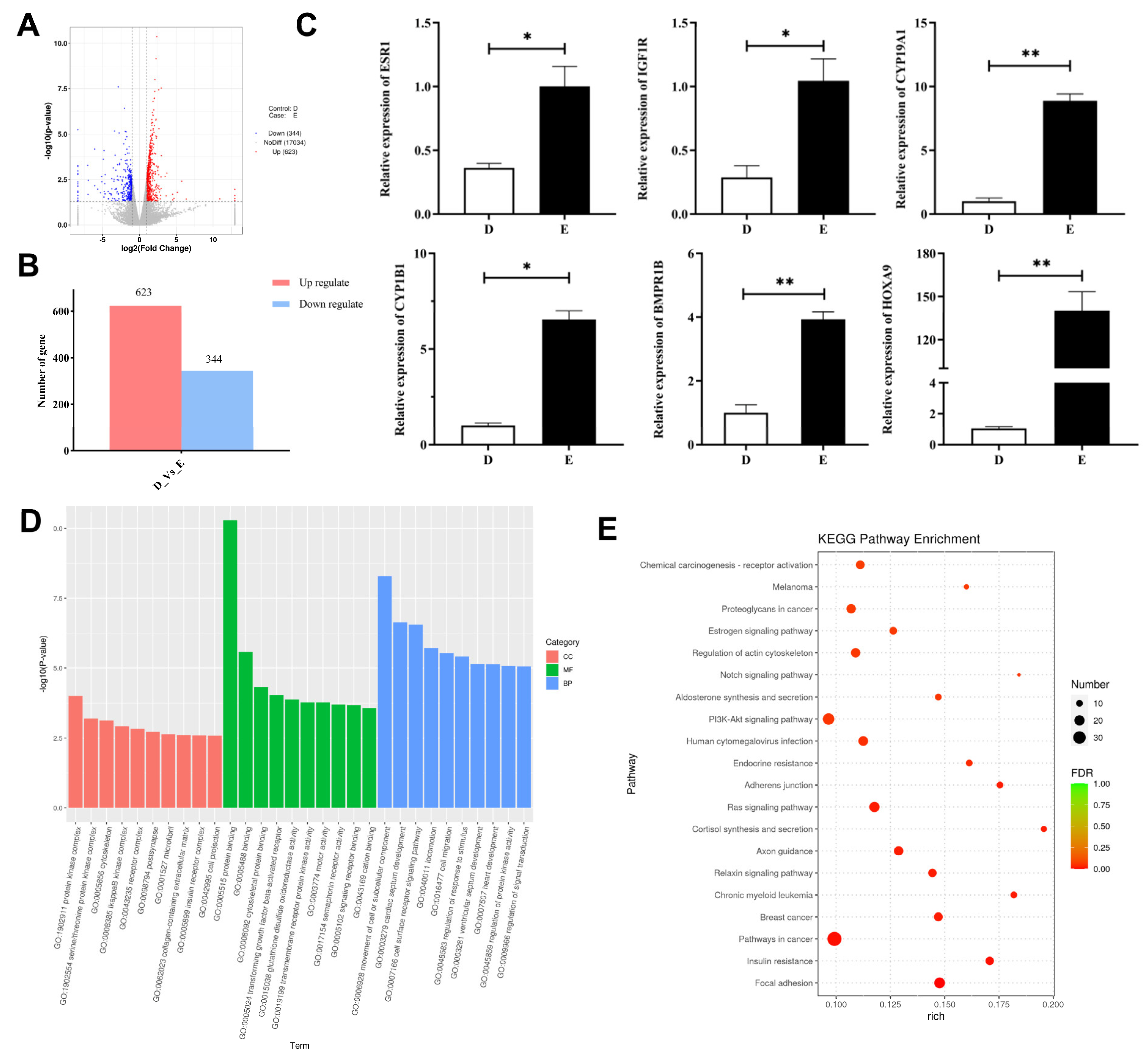 Animals 13 03414 g004