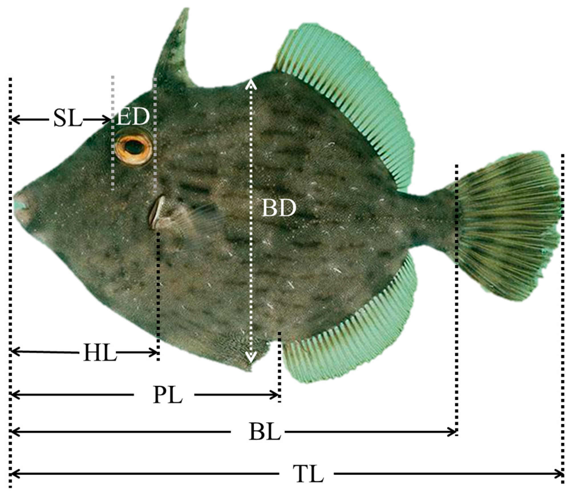 Animals 13 03420 g001 Animals 13 03420 g001