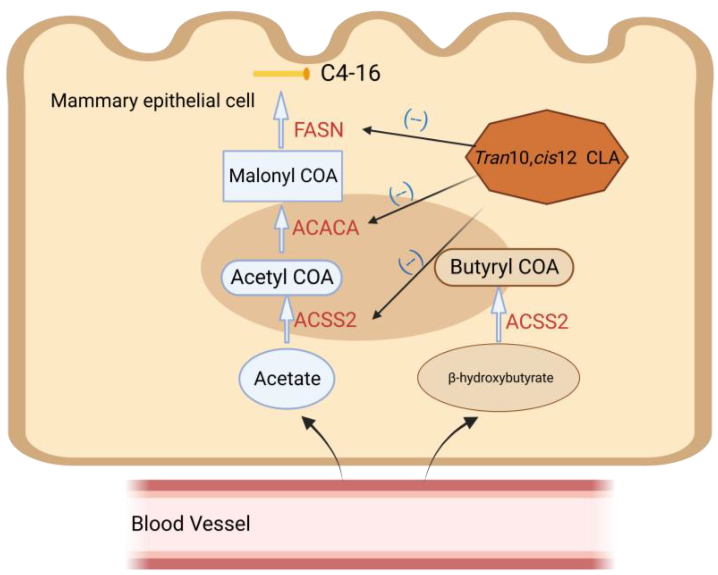 Animals 13 03429 g003