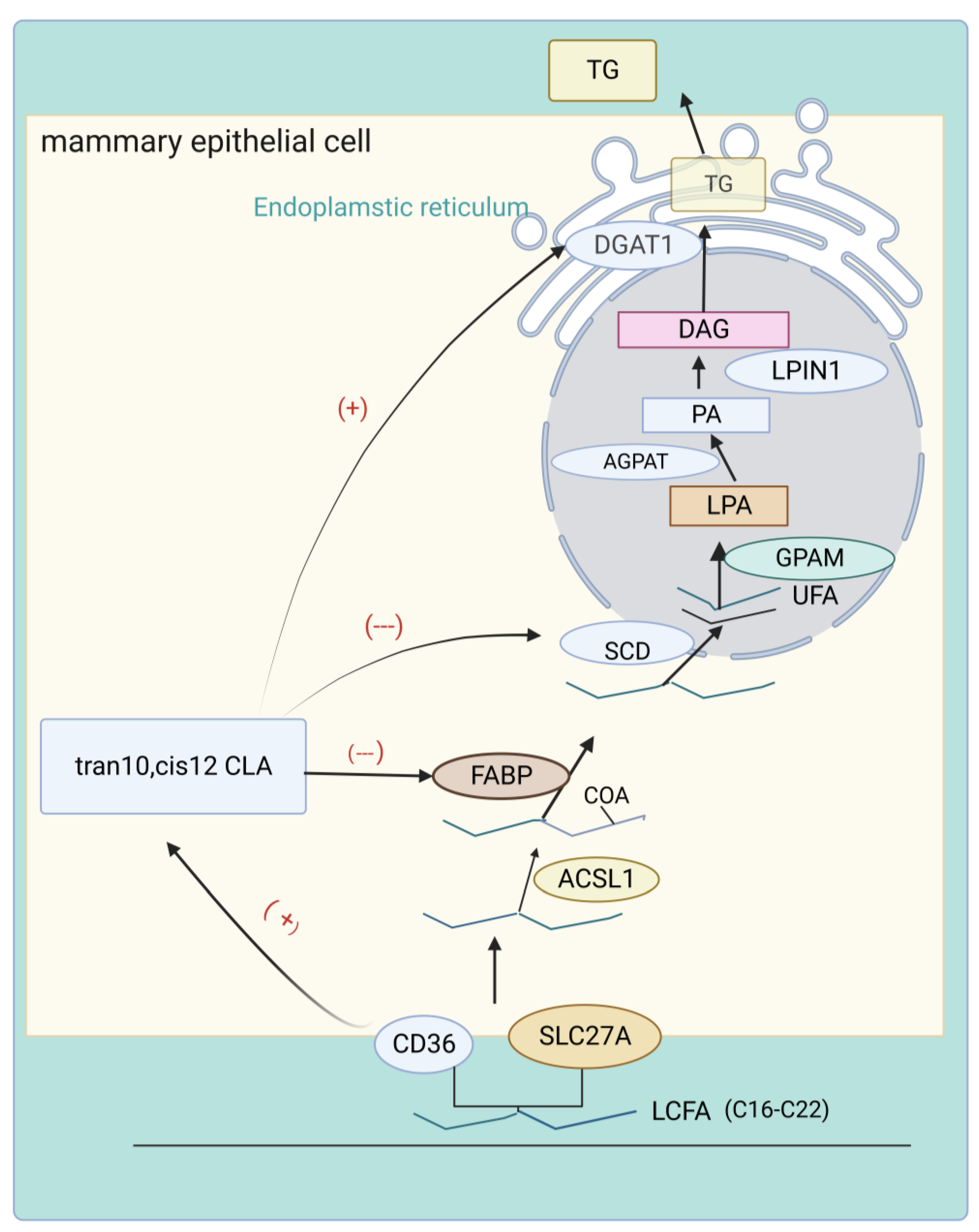 Animals 13 03429 g004