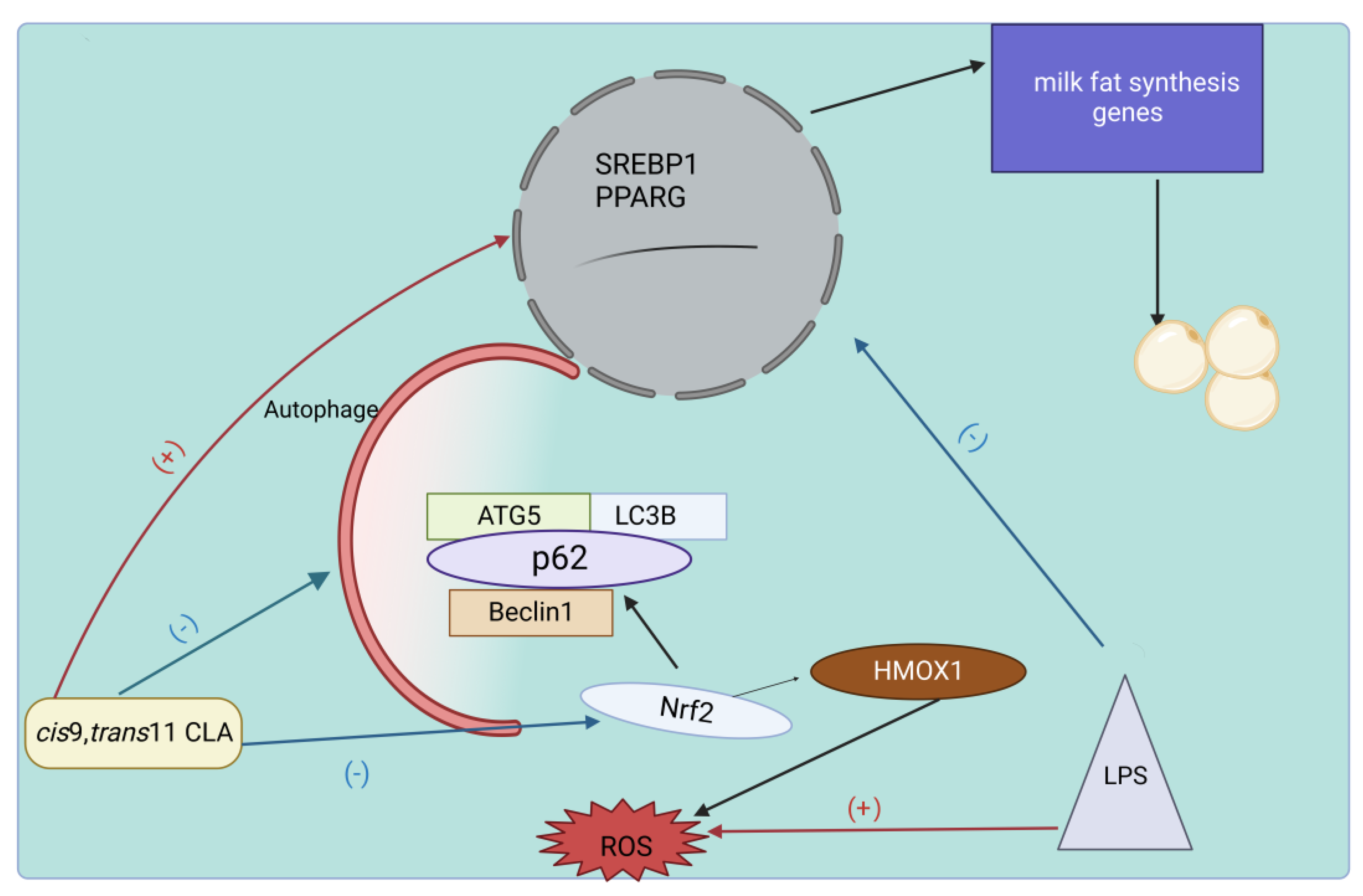 Animals 13 03429 g007